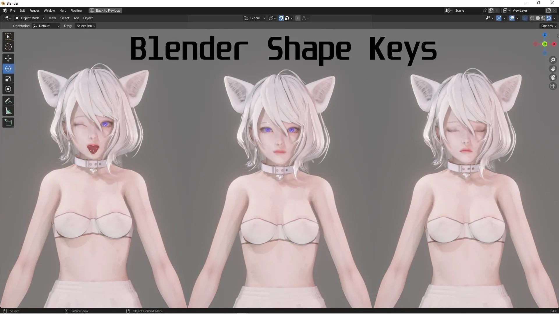 Cat Girl Cosplay - Realistic Female Character - Blender Eevee