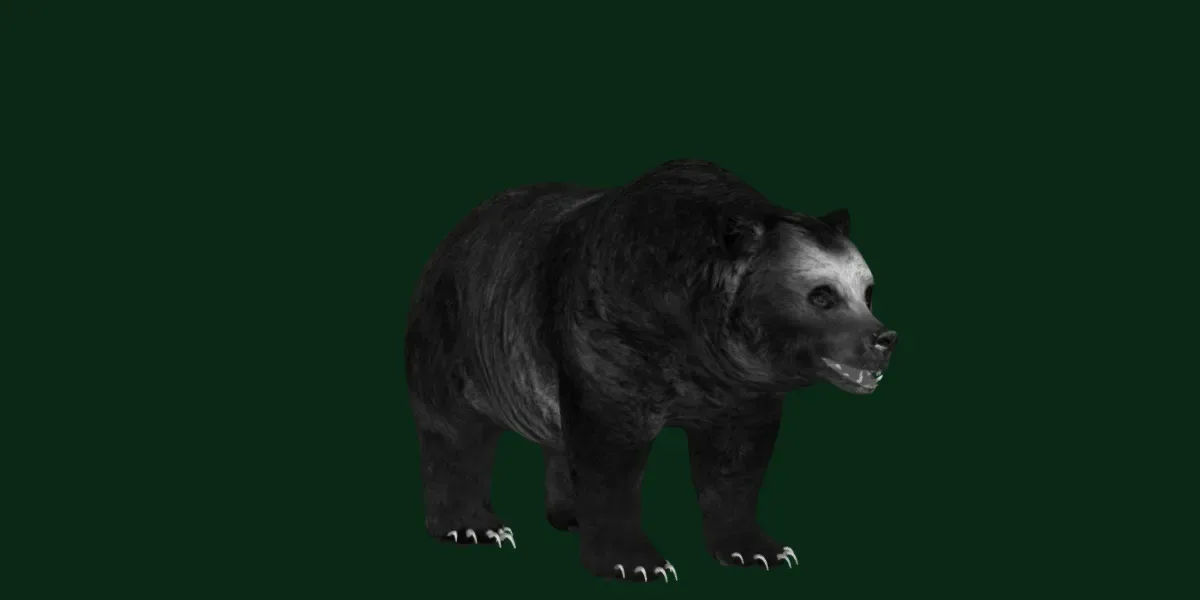 North American Brown Bear