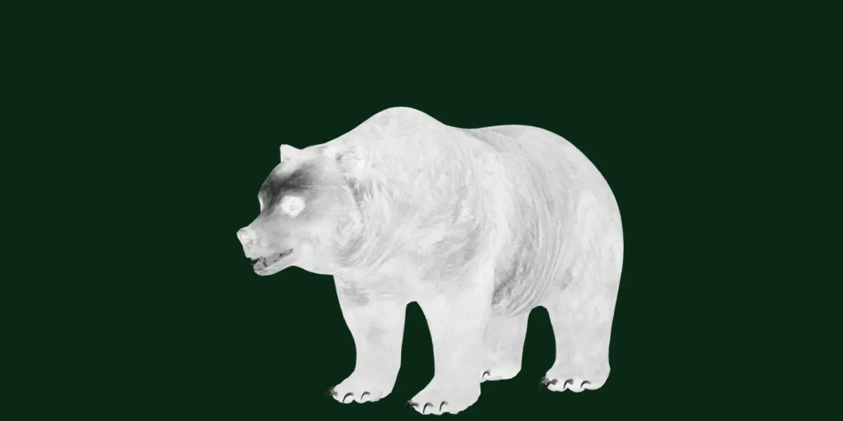 North American Brown Bear