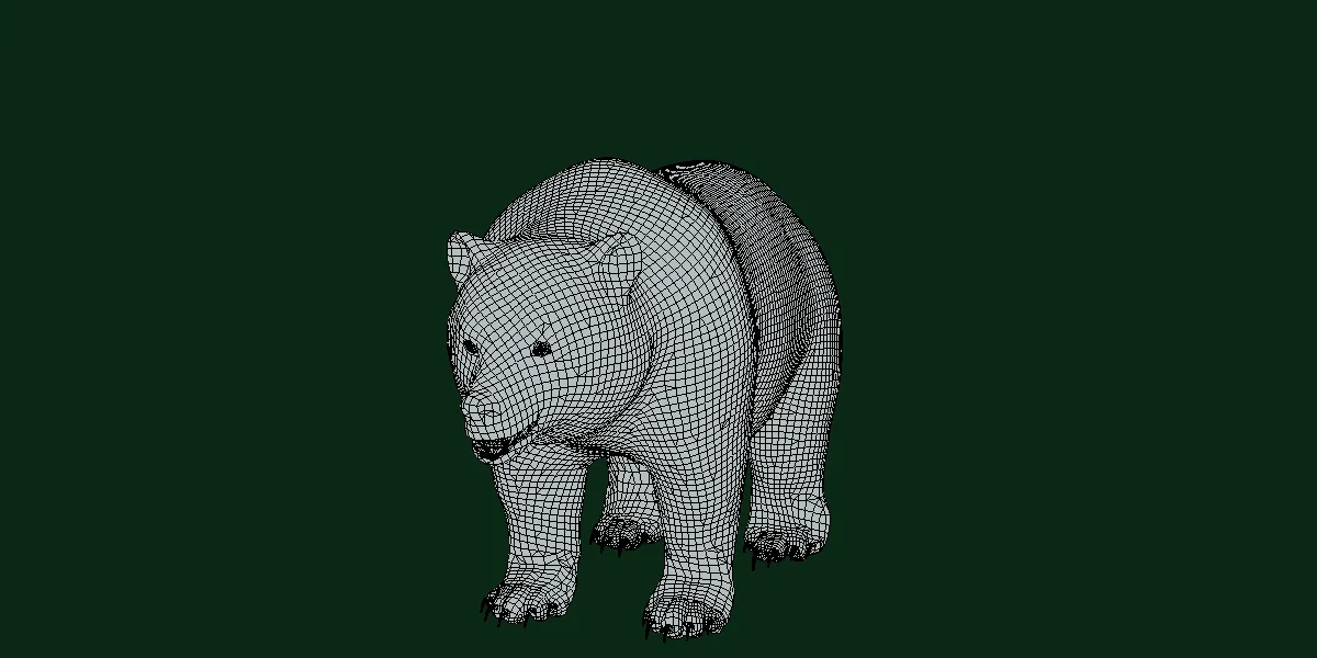 North American Brown Bear