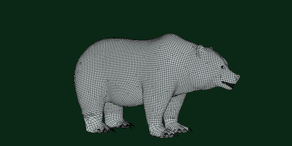 North American Brown Bear