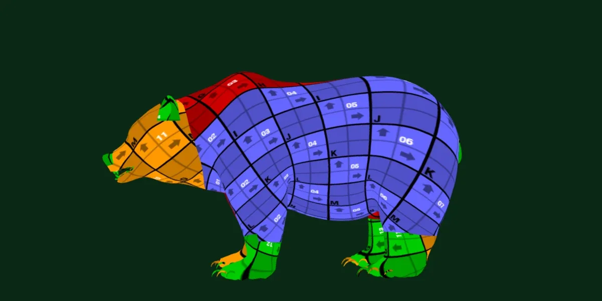 North American Brown Bear