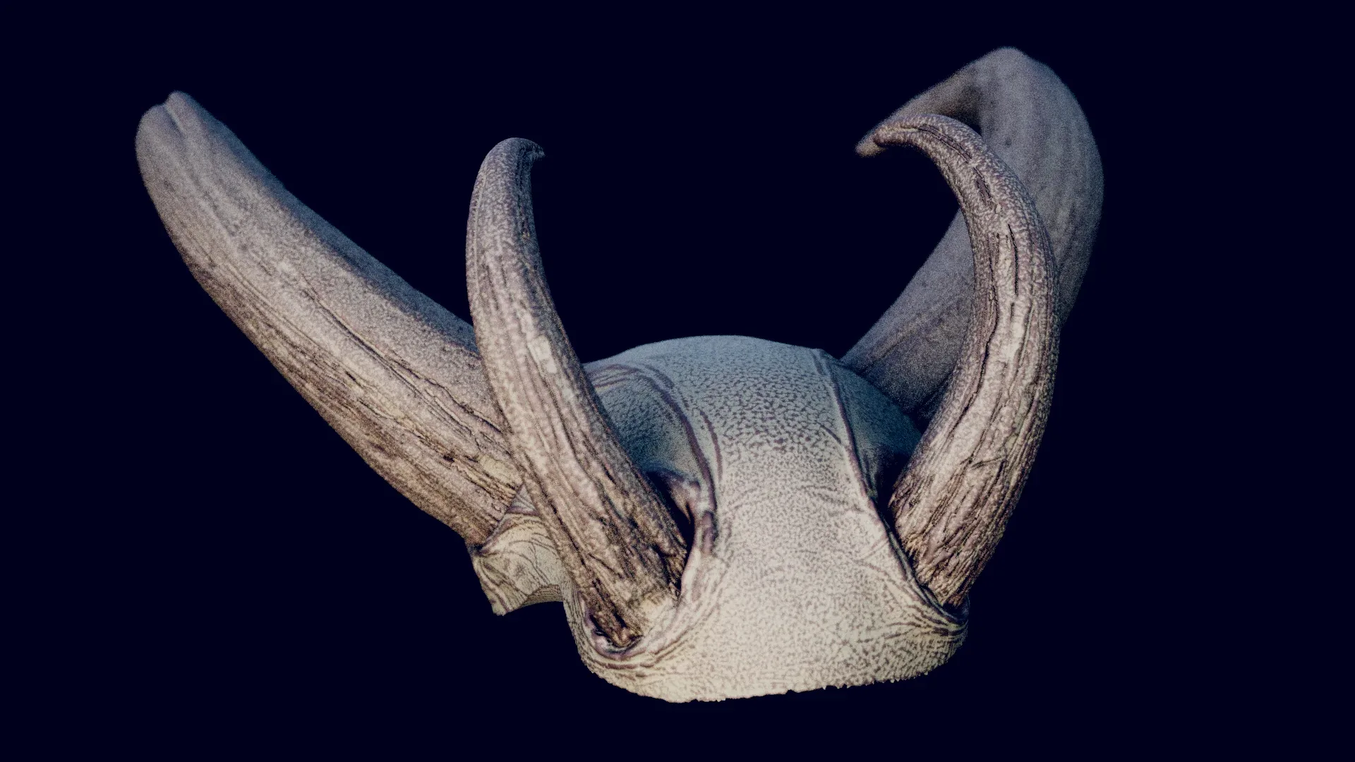 Horns Volume 2 : 65 Horns for quick design and kitbashing