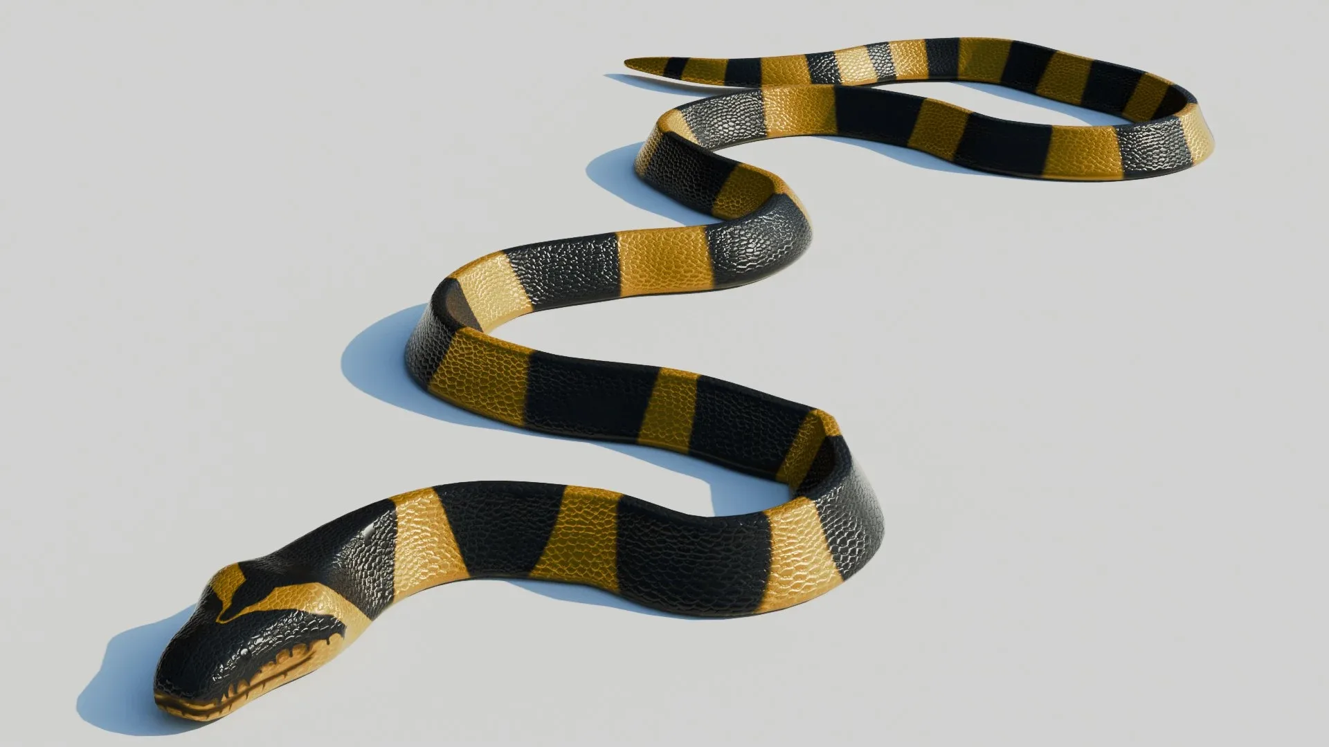 Rigged Banded Krait - Low Poly - Game Ready - PBR