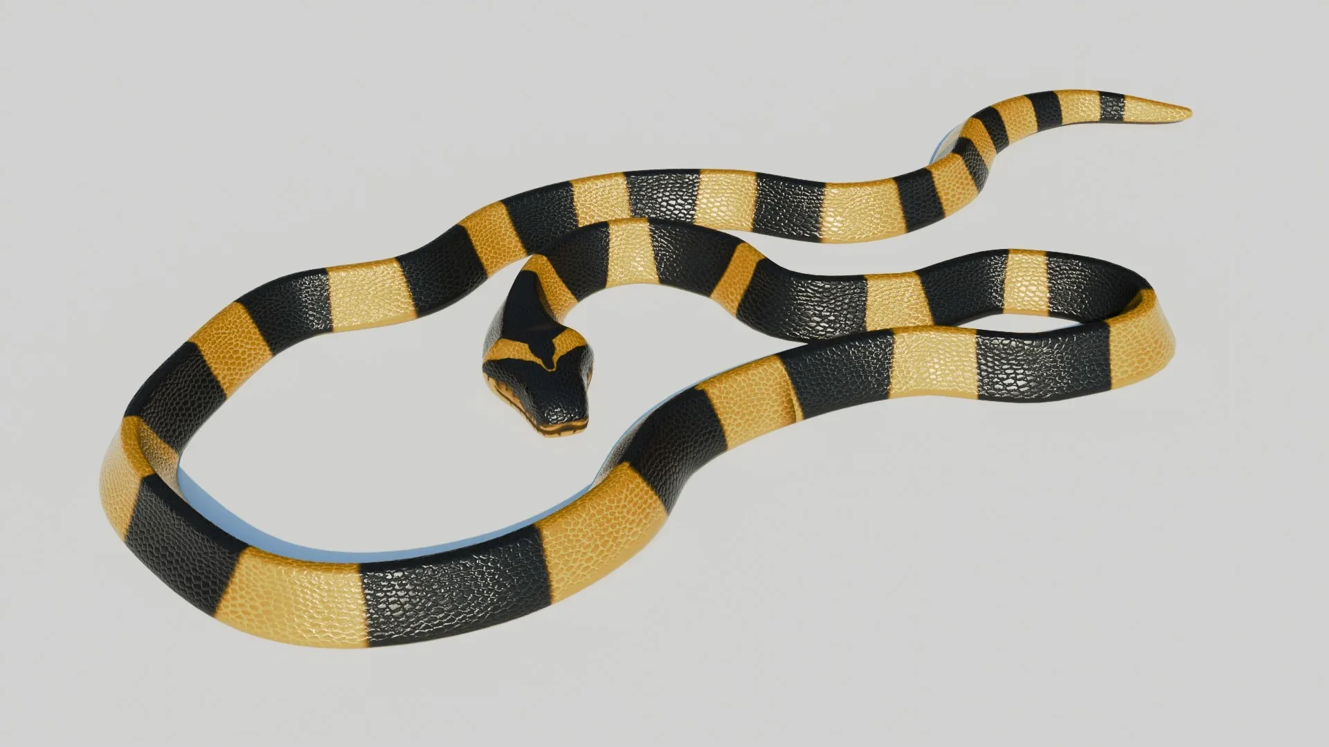 Rigged Banded Krait - Low Poly - Game Ready - PBR