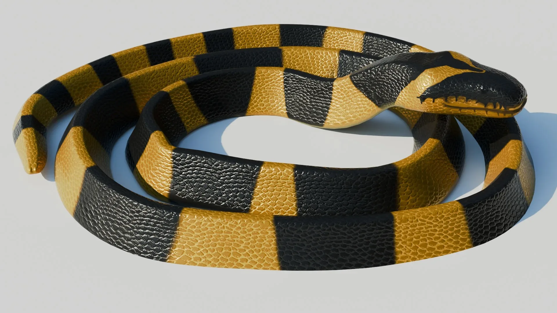 Rigged Banded Krait - Low Poly - Game Ready - PBR