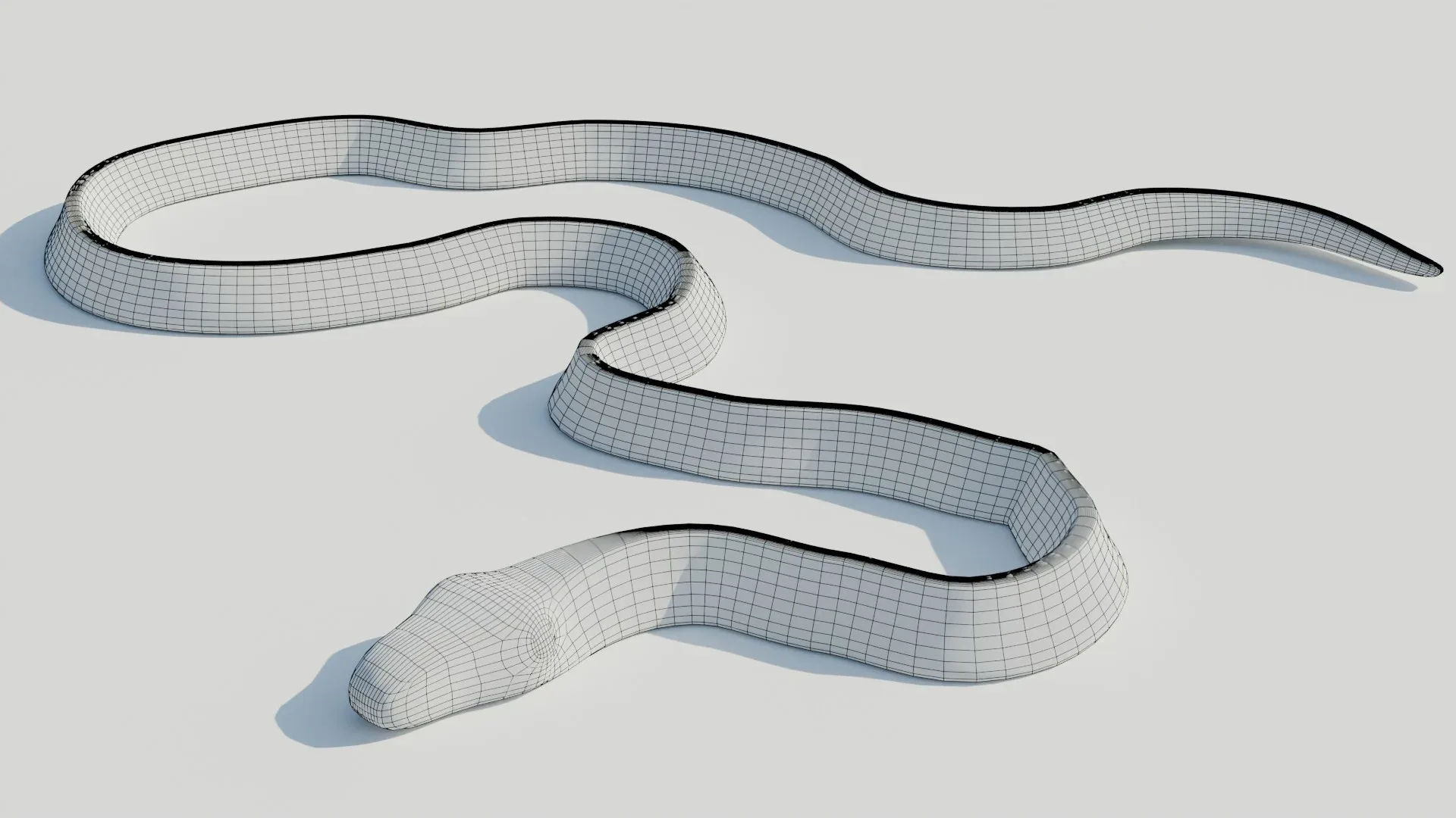 Rigged Banded Krait - Low Poly - Game Ready - PBR