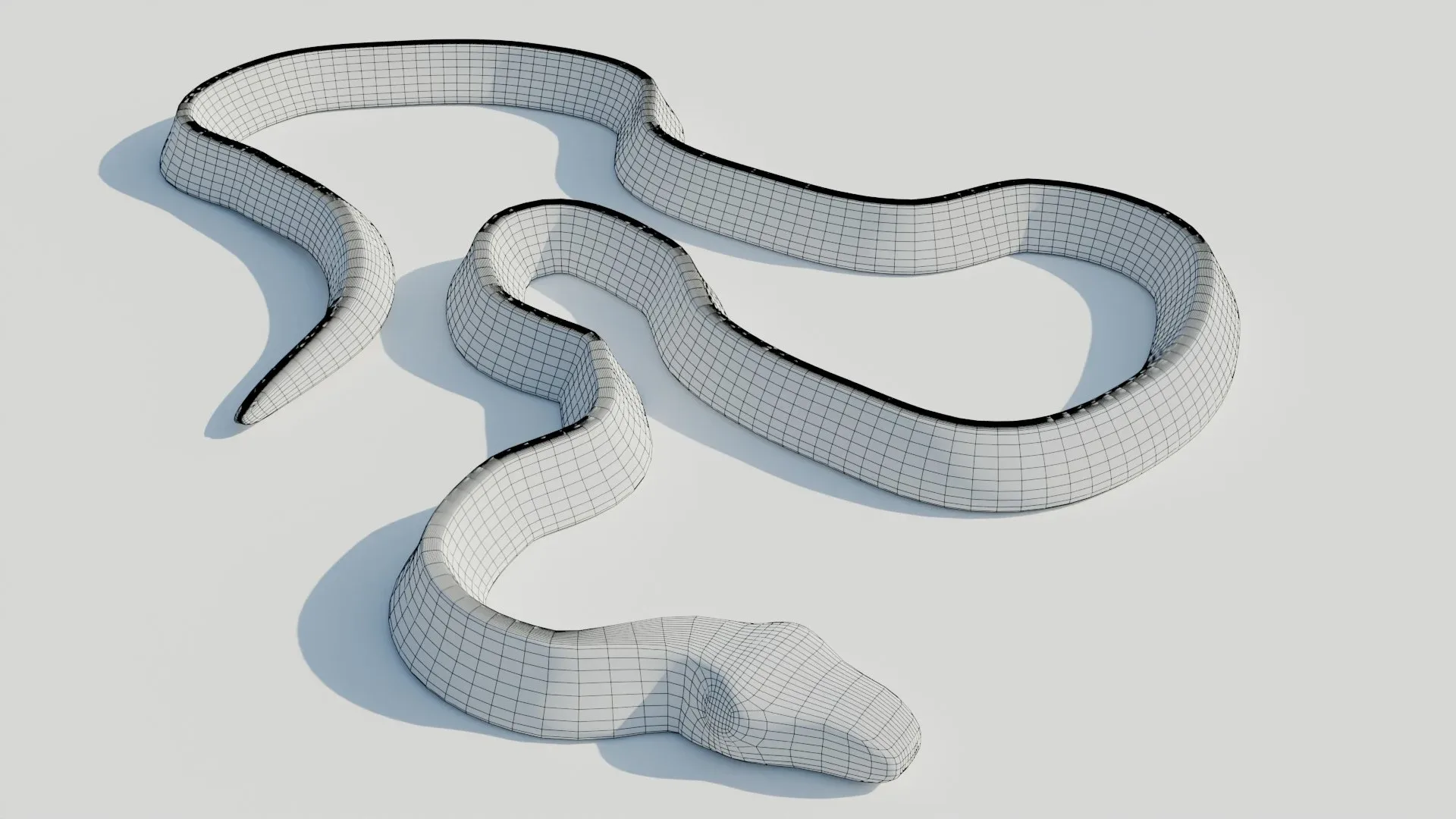 Rigged Banded Krait - Low Poly - Game Ready - PBR