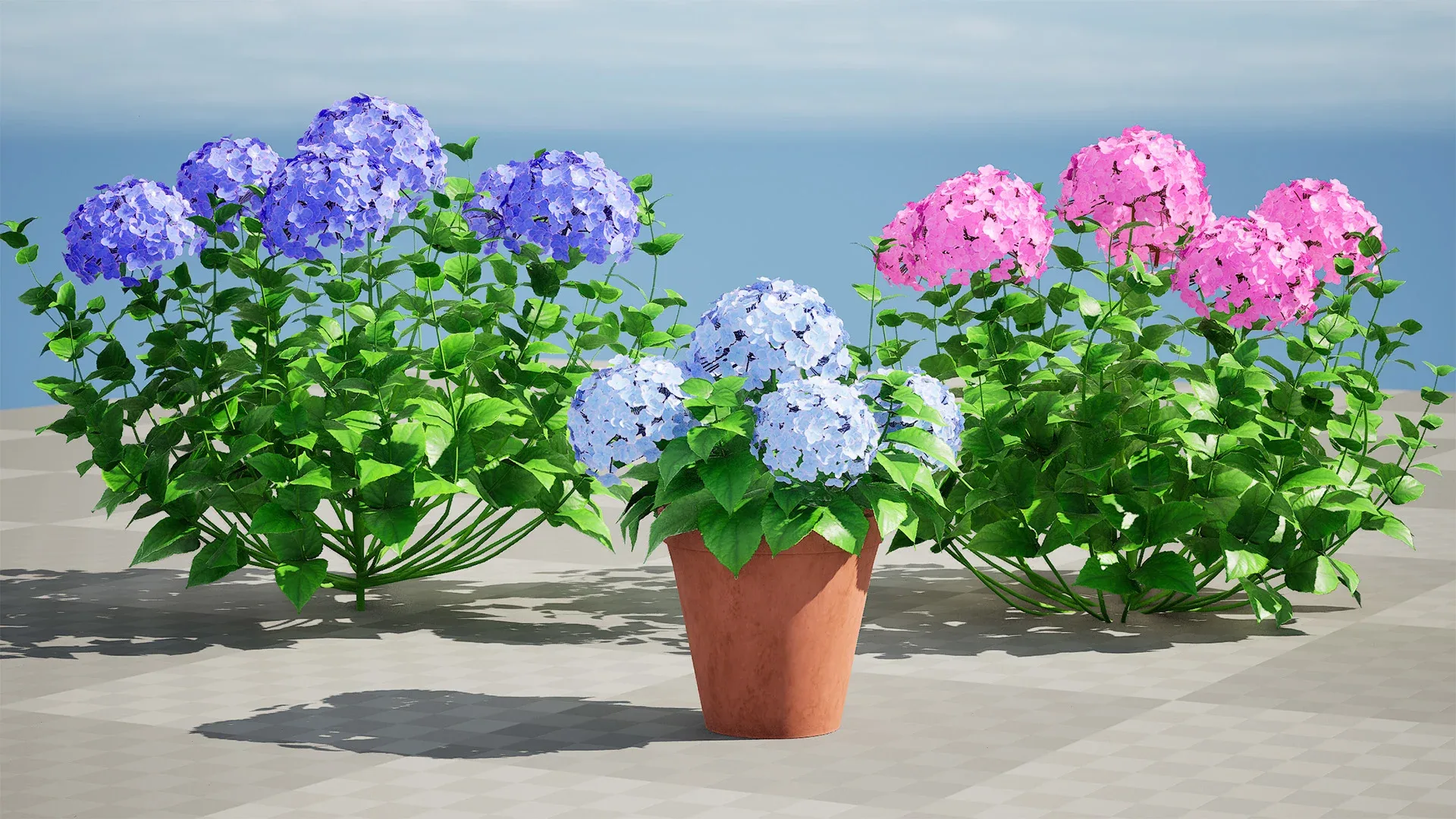 Big Daddy Hydrangea flower shrub with free tutorial