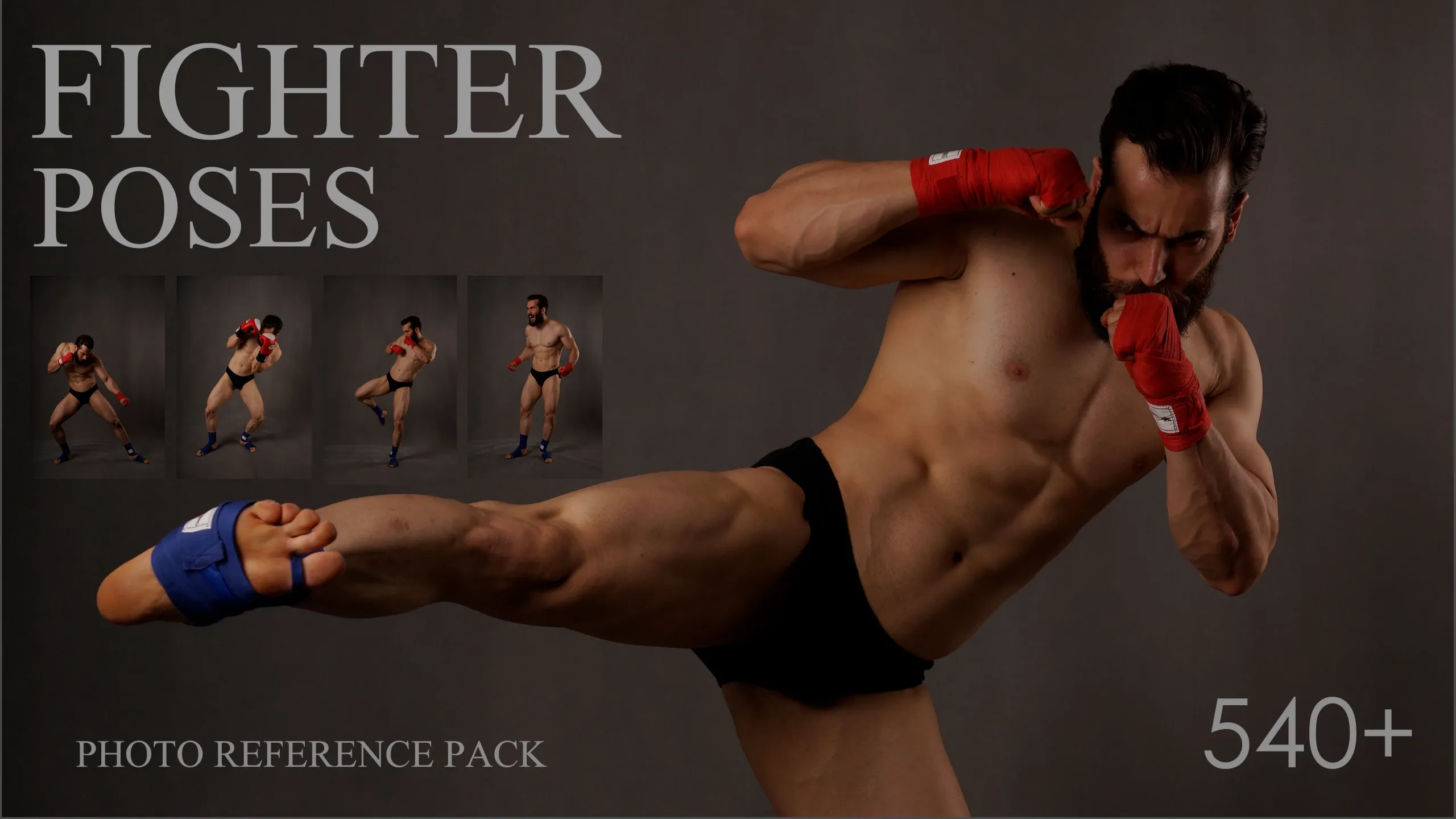 540 Fighter Poses Reference Picture Pack