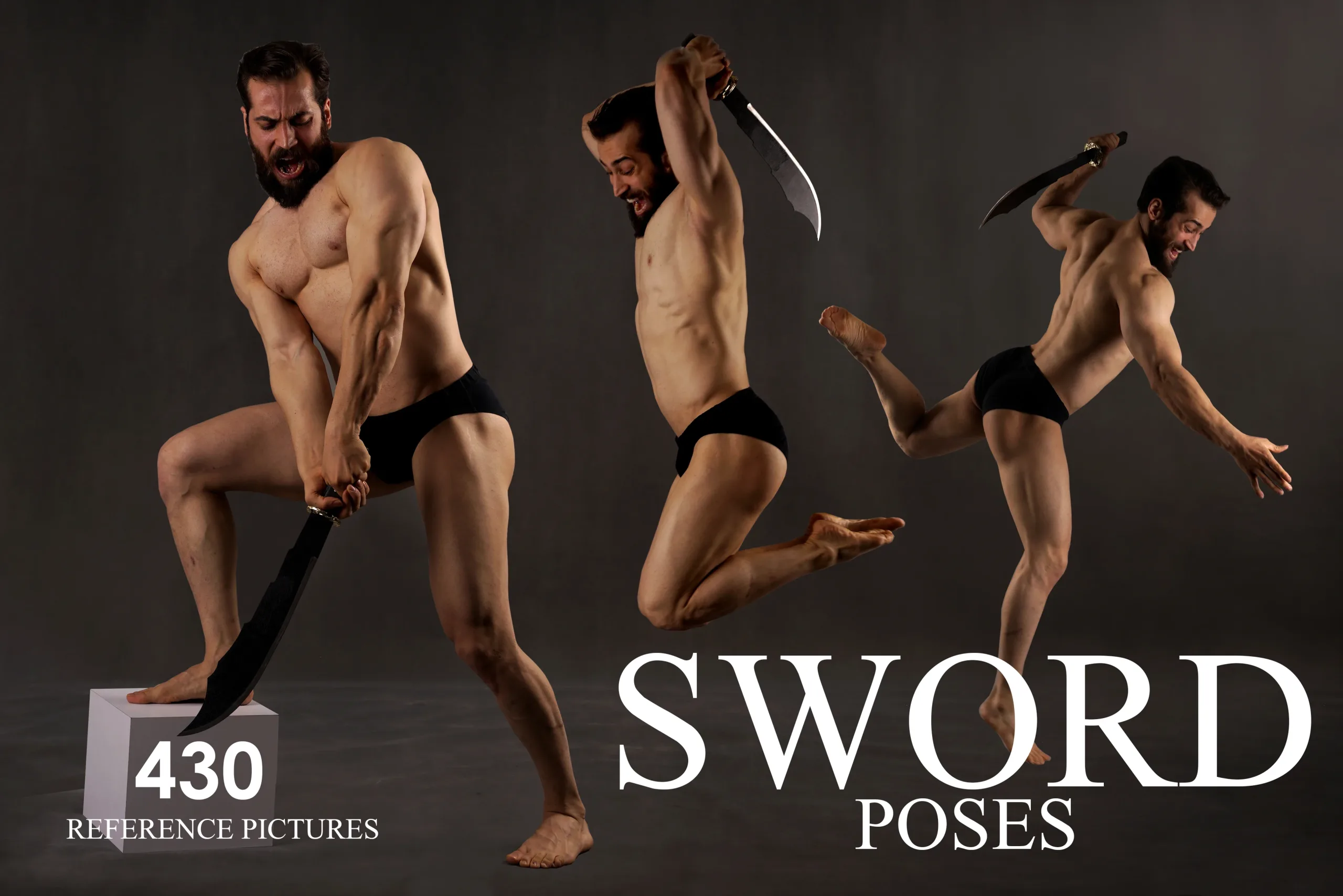 Sword Poses Photo Reference Pack . 436 JPEGs