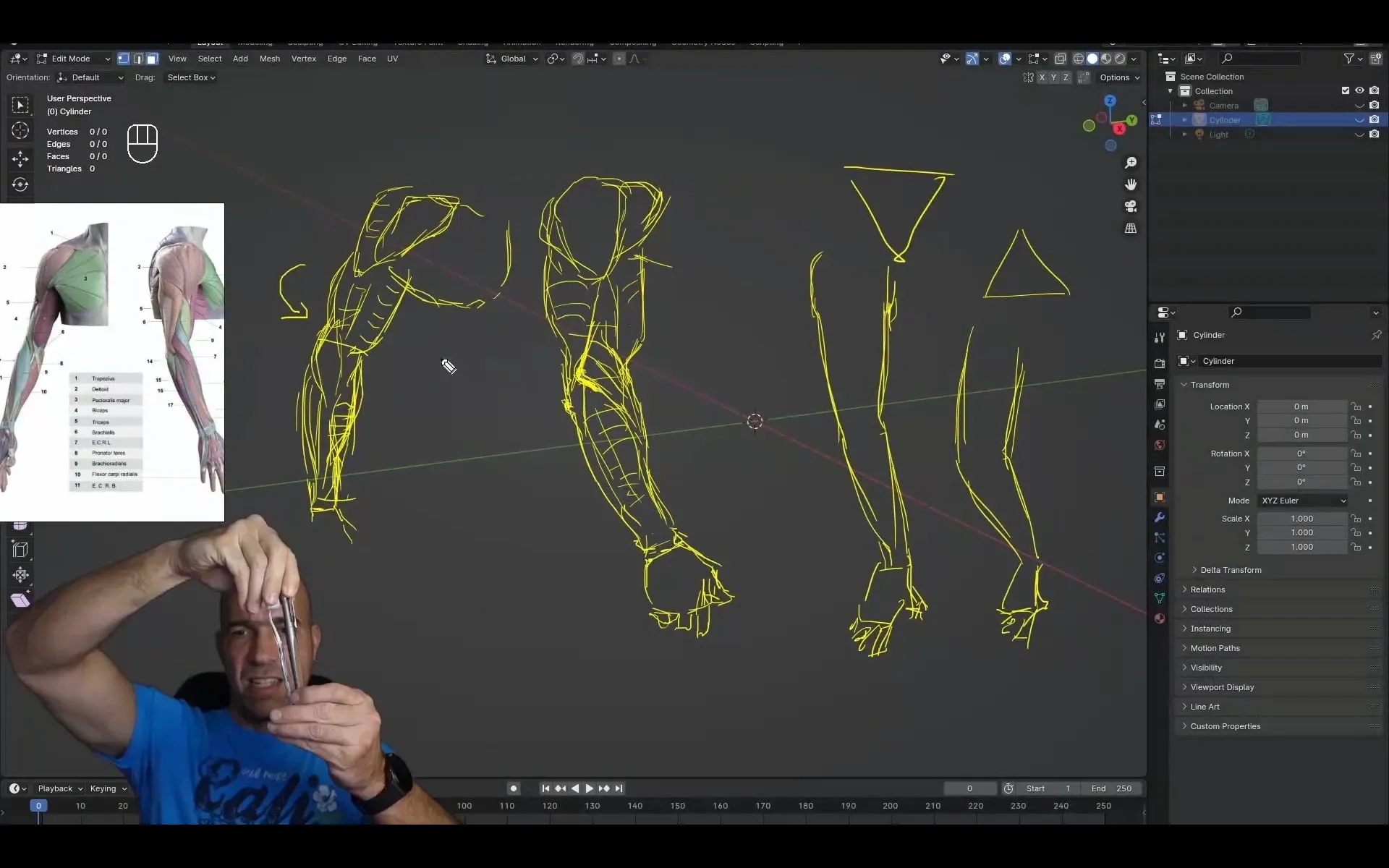 Arm and hand anatomy exercises course