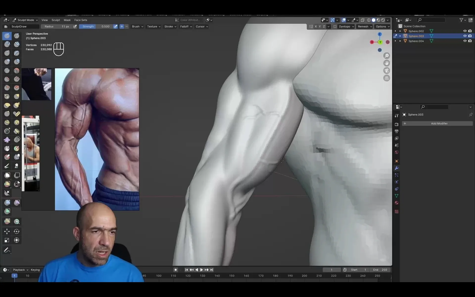 Arm and hand anatomy exercises course