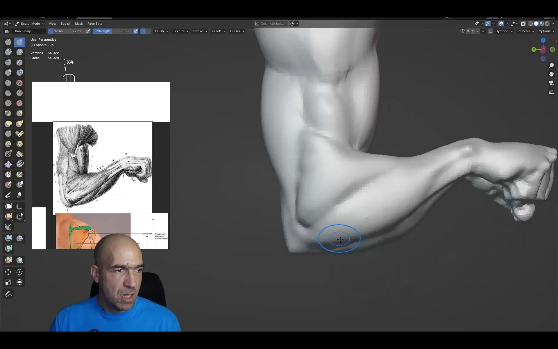 Arm and hand anatomy exercises course