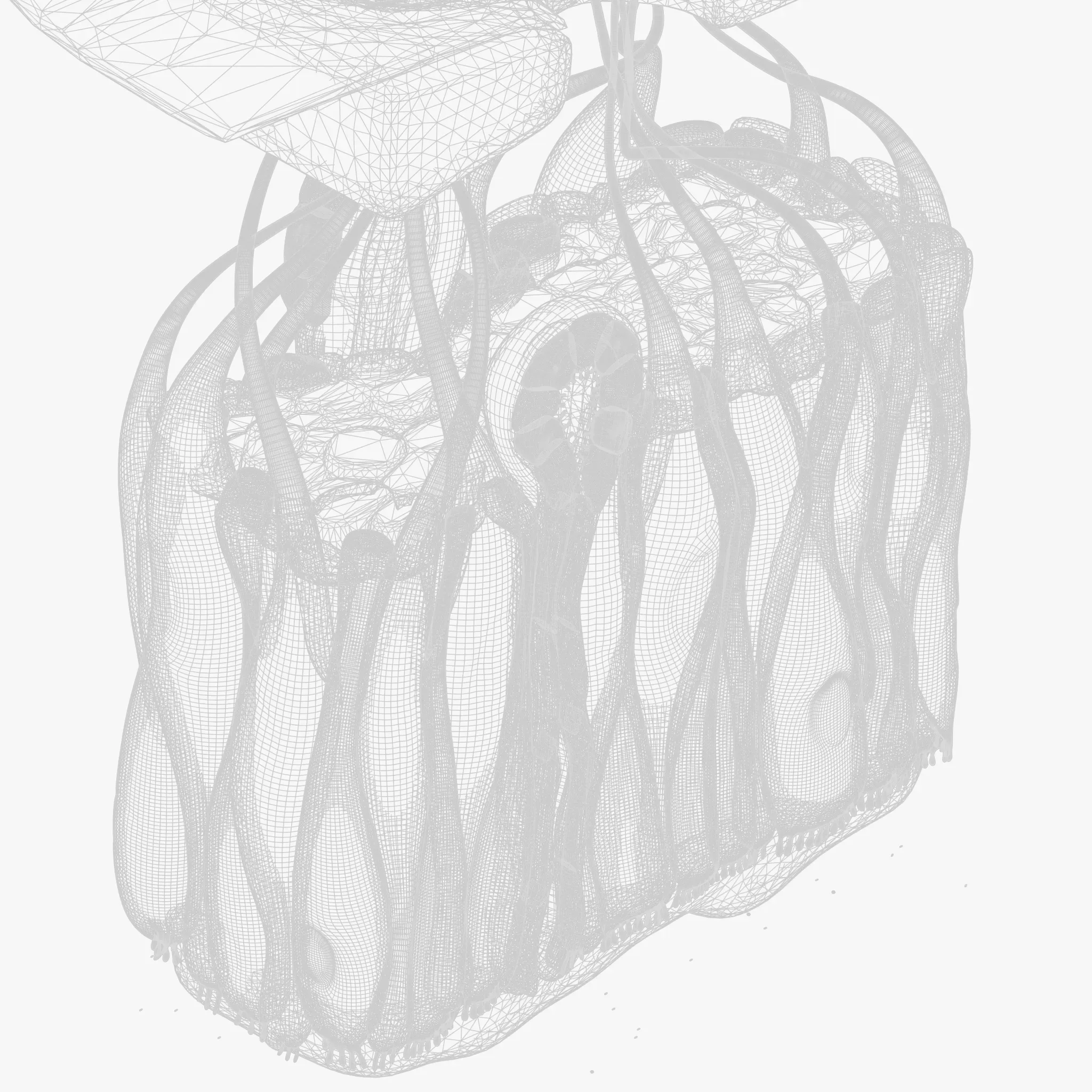 Olfactory Epithelium Microscopic Anatomy