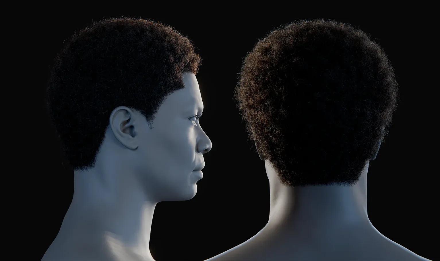 Hairstyle - Afro 001 (Hair for blender/ unreal engine / metahuman) Afro hair | Kinky hair | 4c Hair | African / African American Hair