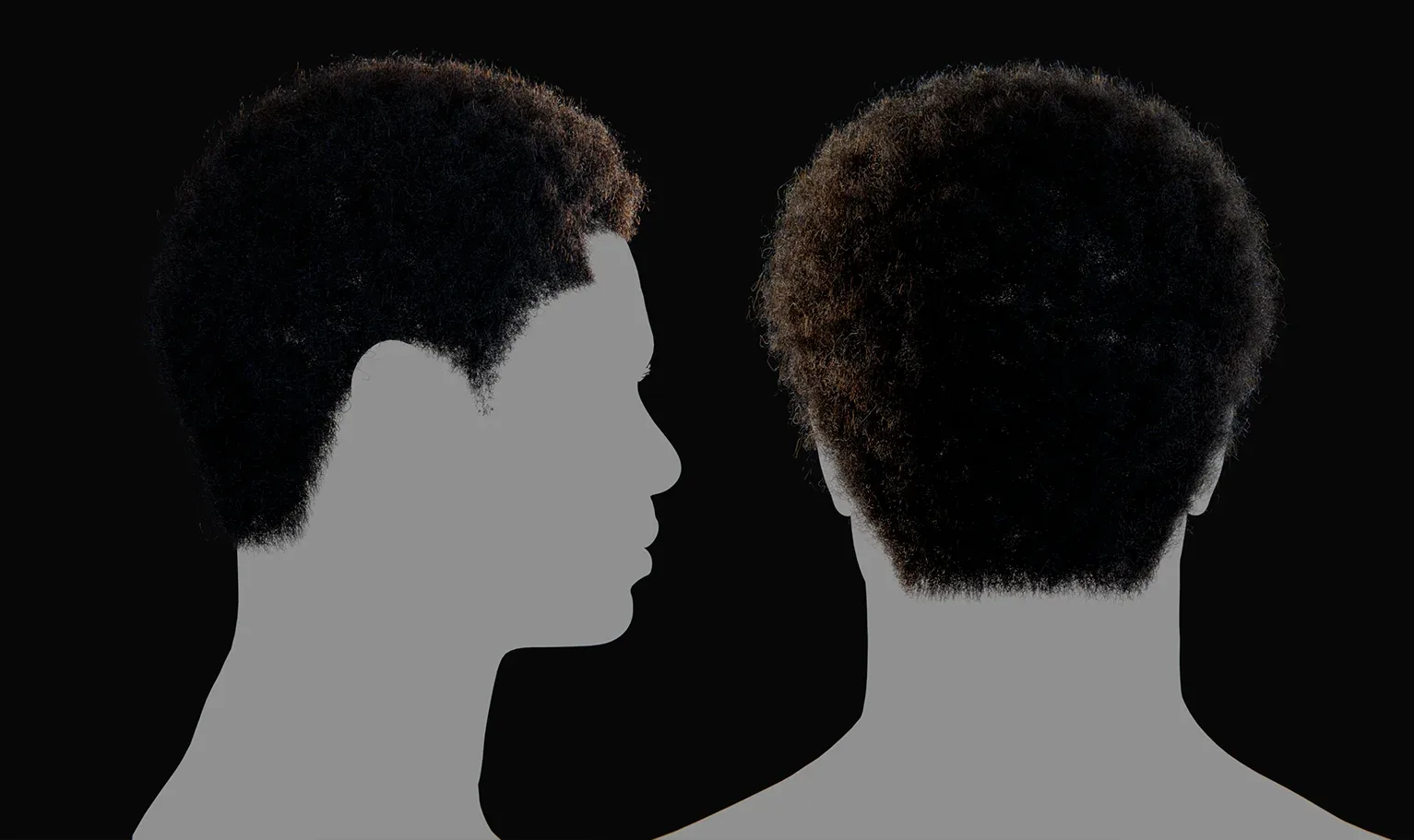 Hairstyle - Afro 001 (Hair for blender/ unreal engine / metahuman) Afro hair | Kinky hair | 4c Hair | African / African American Hair