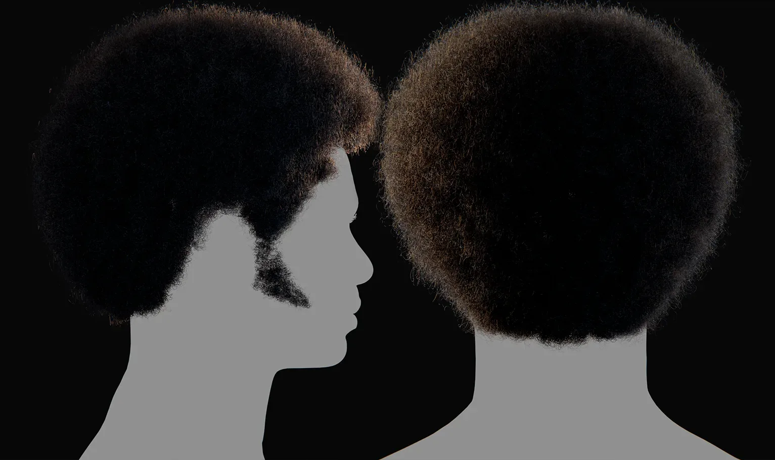 PixelHair Hairstyle - Afro 002 (Hair for blender/ unreal engine / metahuman) Afro hair | Kinky hair | 4c Hair | African / African American Hair