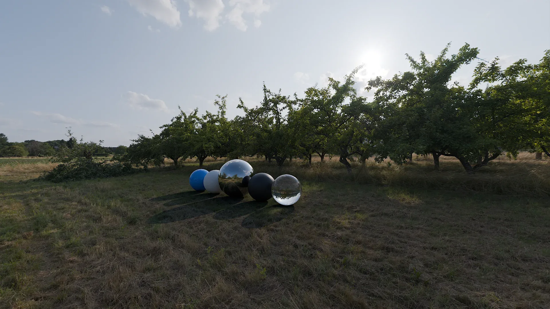 Dry Orchard Meadow HDRI