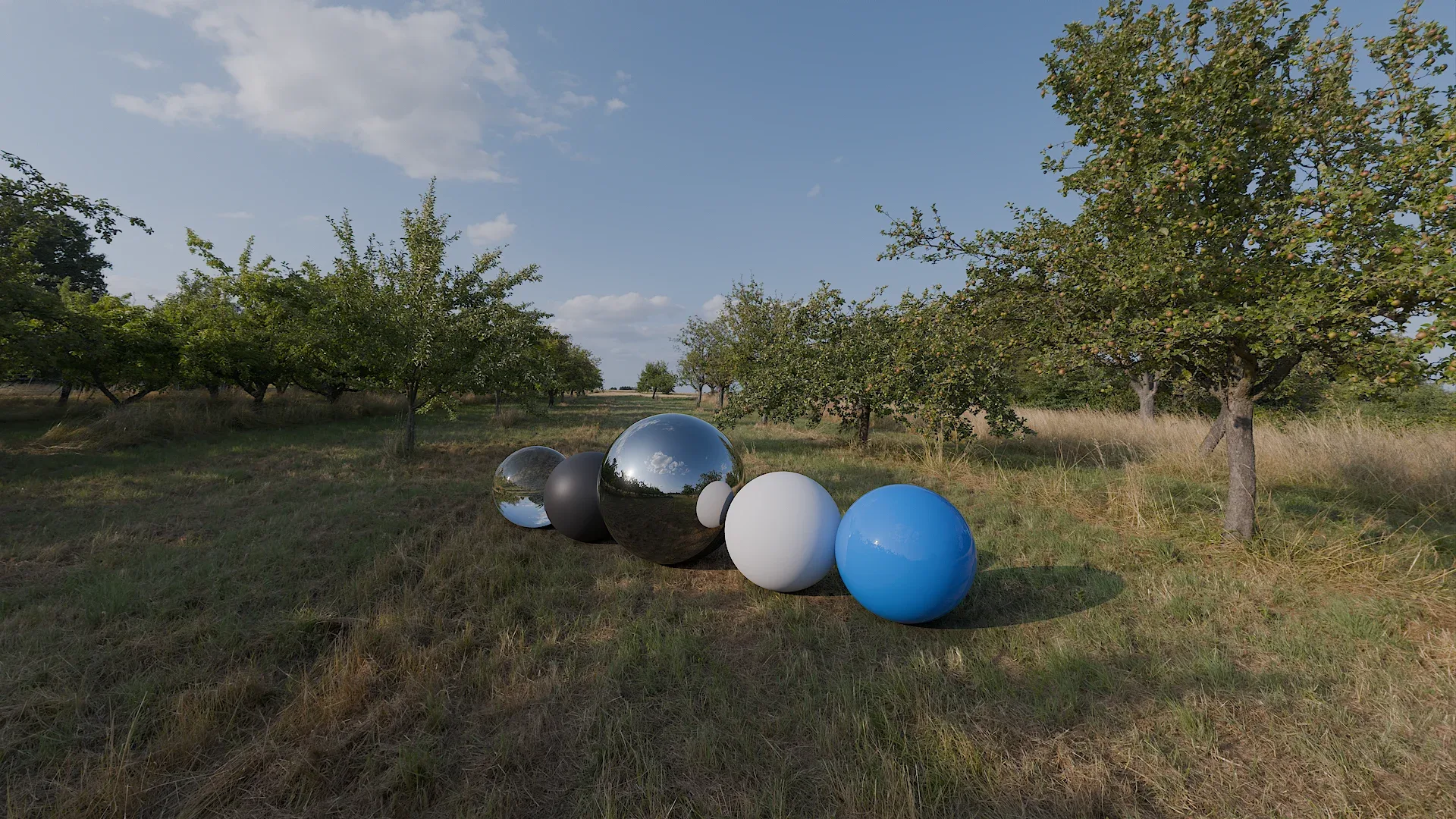 Dry Orchard Meadow HDRI