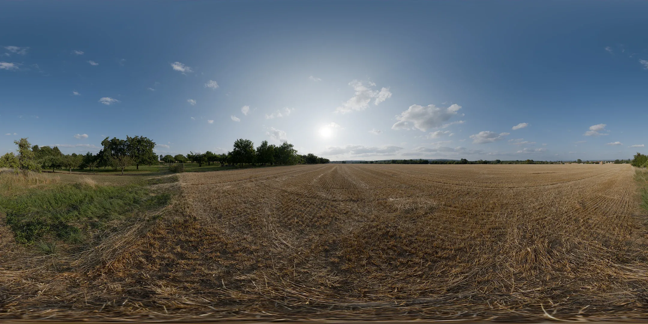 Dry Field HDRI