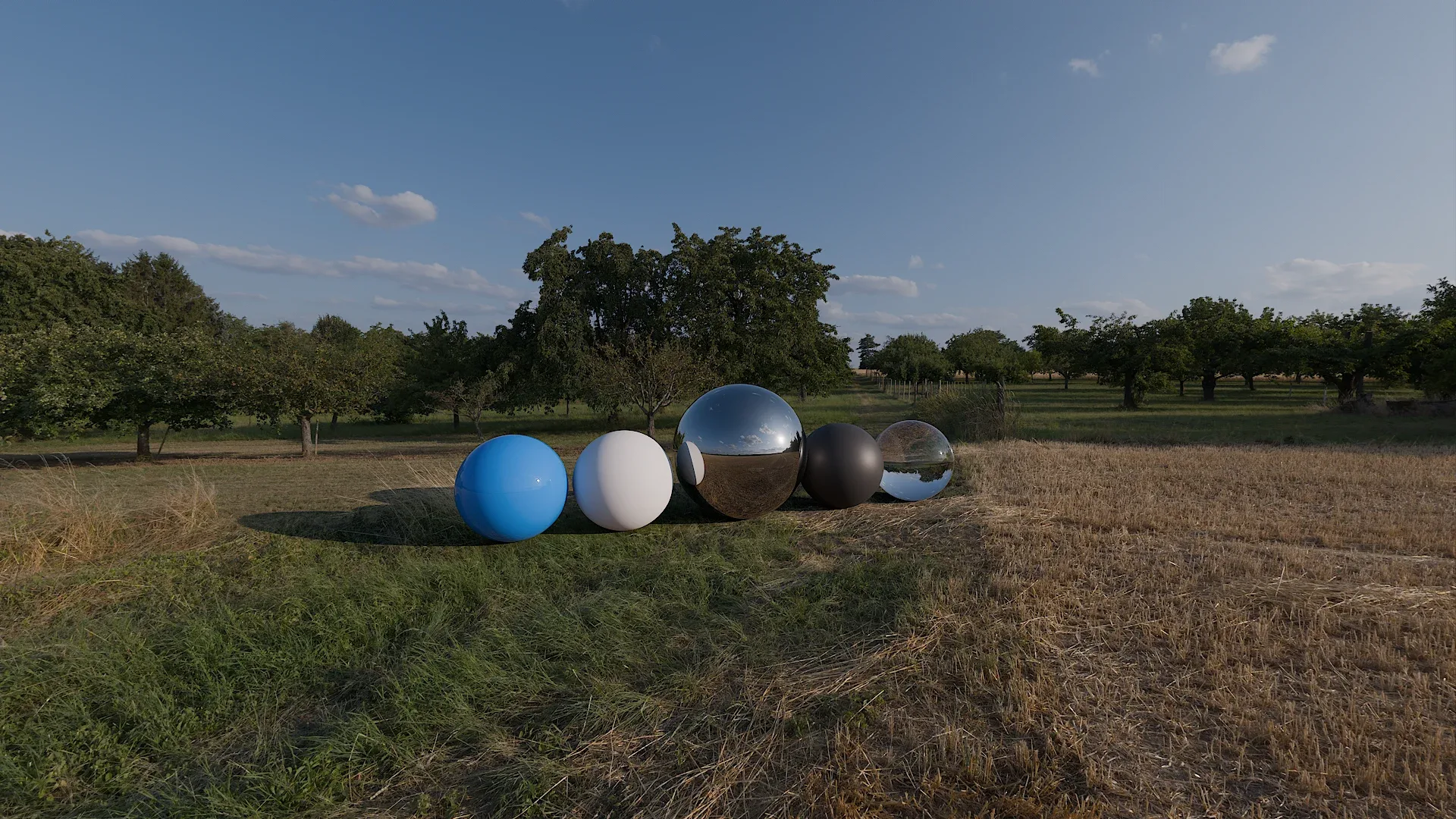 Dry Field HDRI