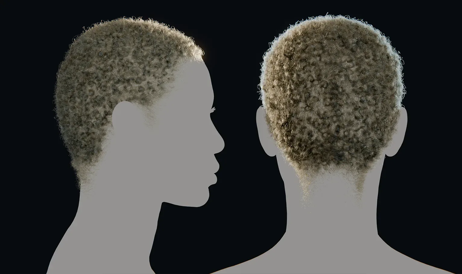 PixelHair Hairstyle - Curly Afro 004 (Hair for blender/ unreal engine / metahuman) Afro hair | Kinky hair | 4c Hair | African / African American Hair