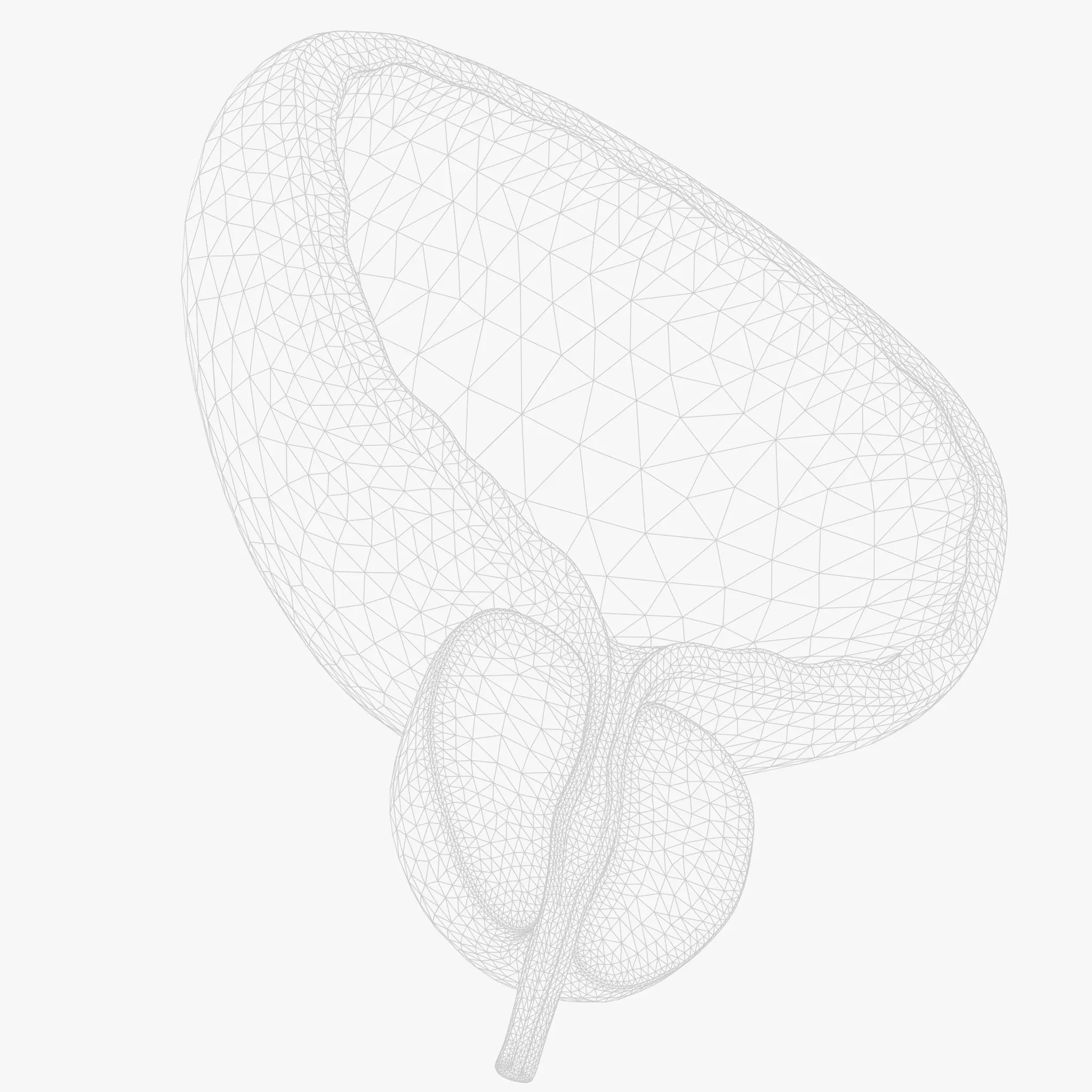 Bladder Cross Section