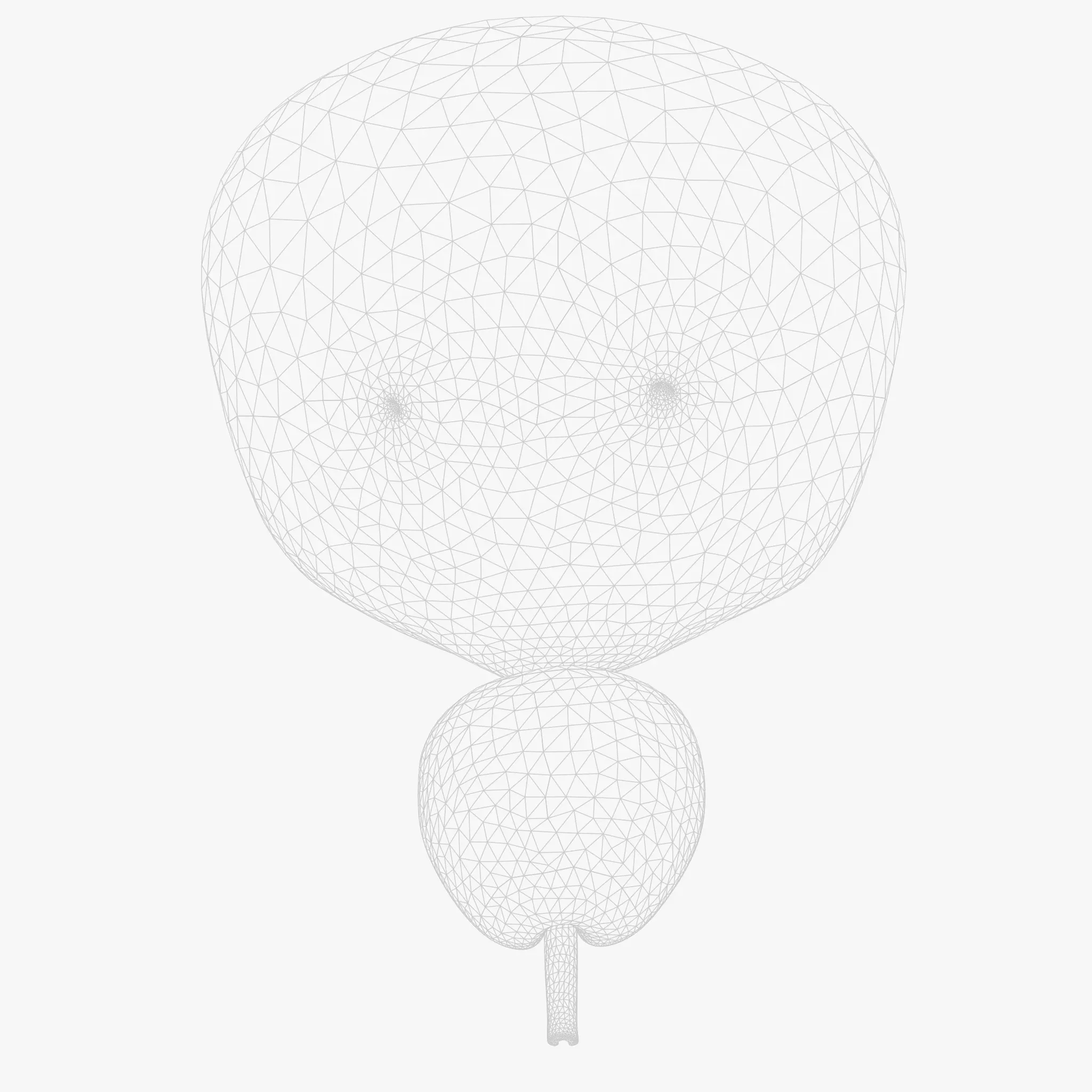 Bladder Cross Section