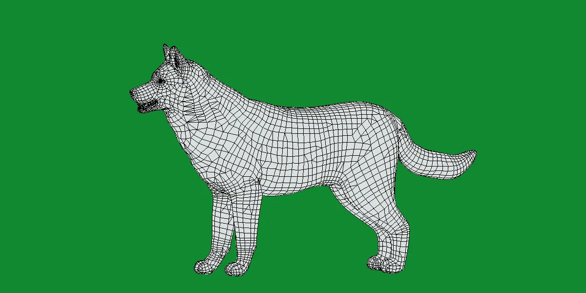 Alaskan Malamute Husky Dog