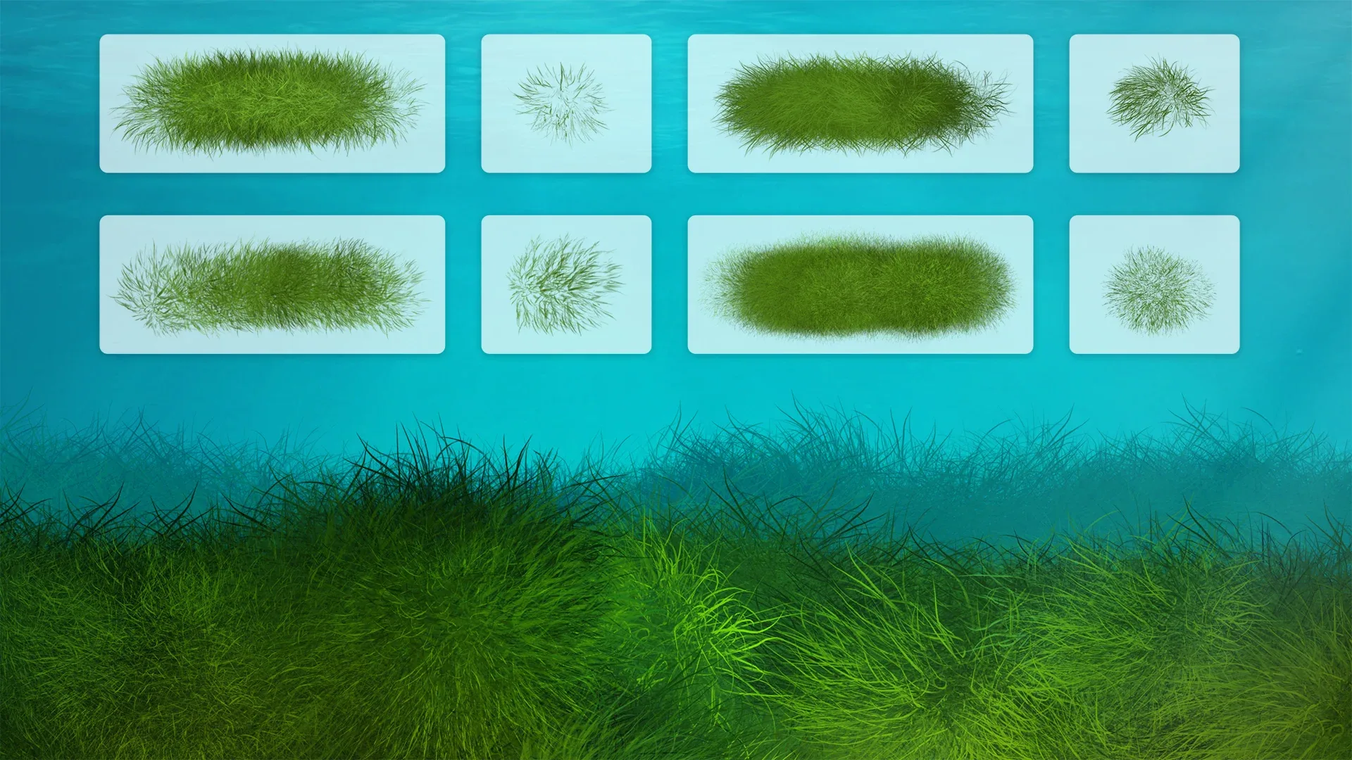Seagrass Photoshop Brushes
