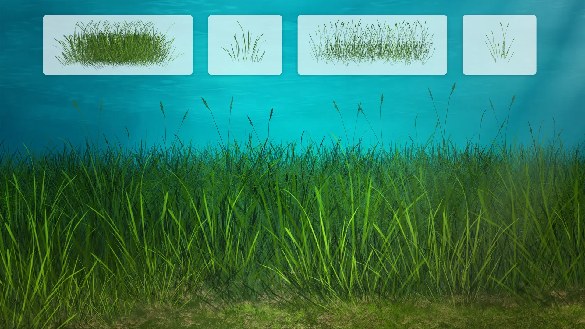 Seagrass Photoshop Brushes