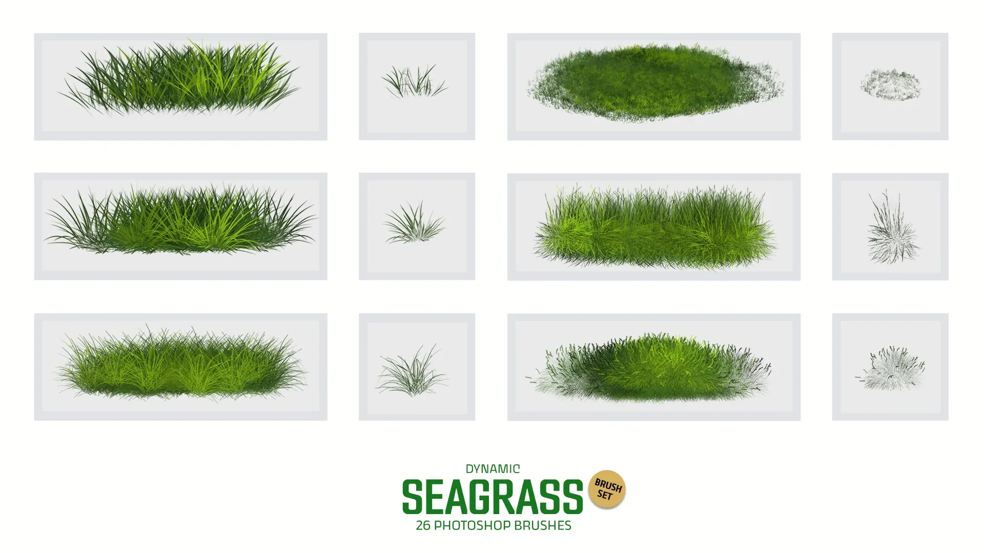 Seagrass Photoshop Brushes