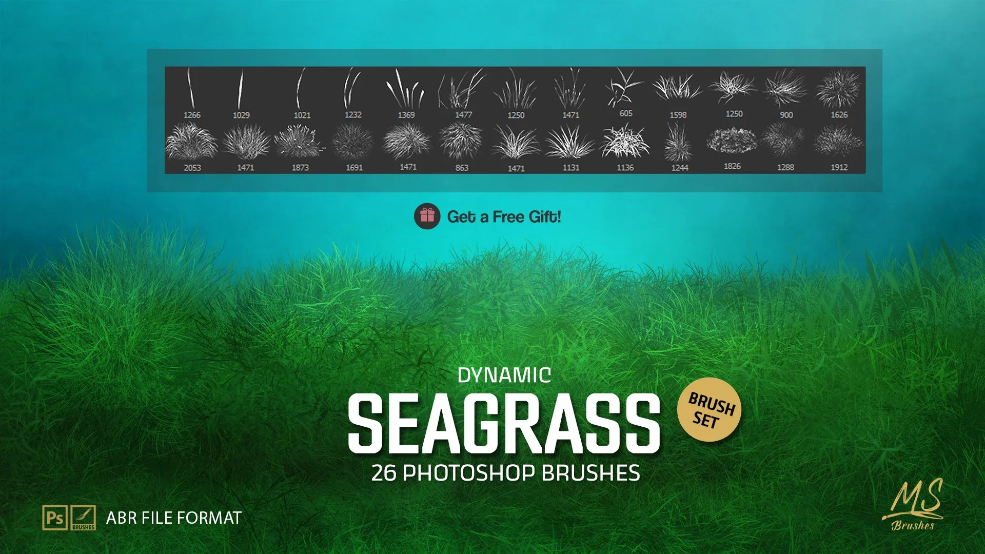 Seagrass Photoshop Brushes