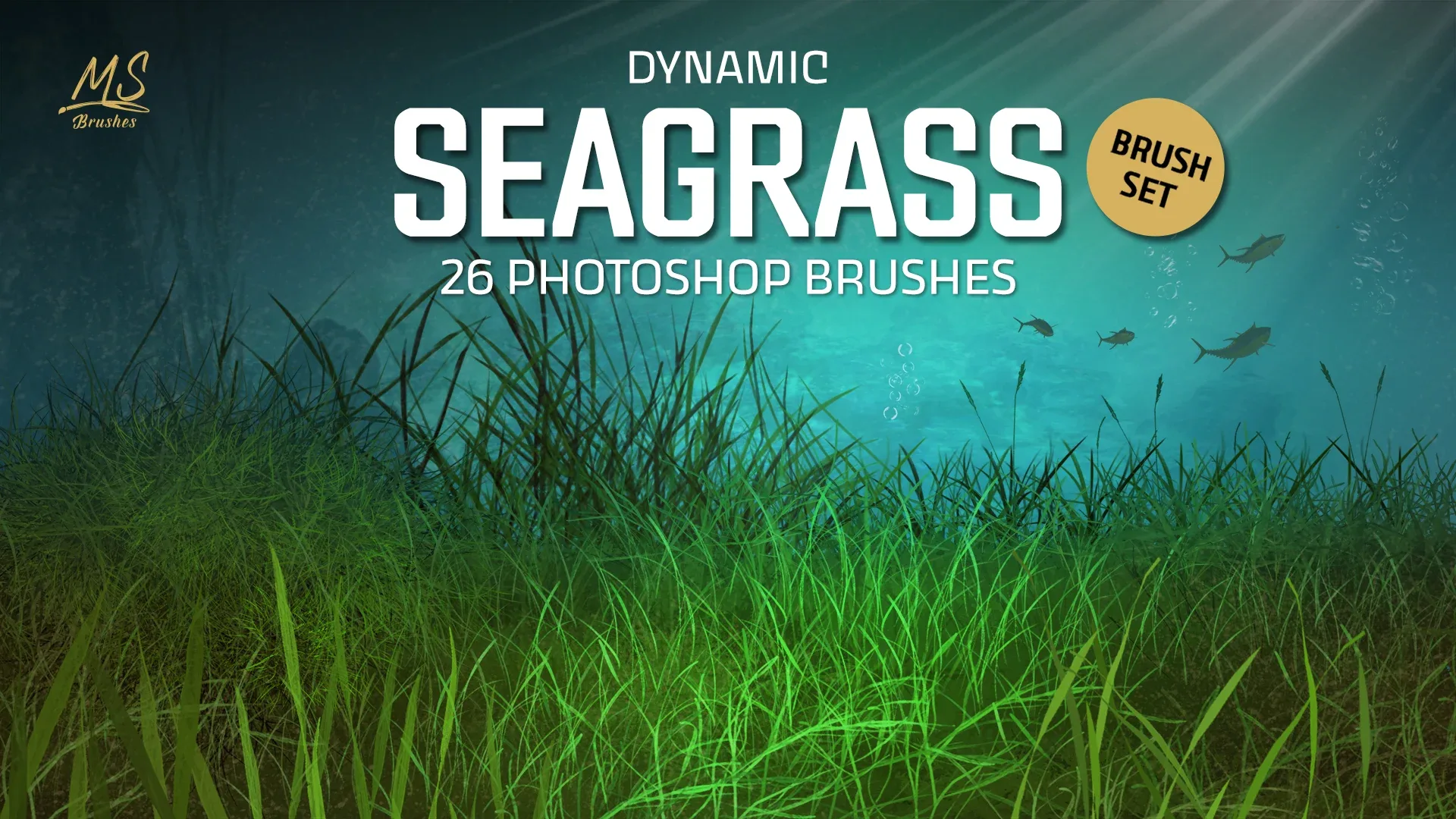 Seagrass Photoshop Brushes