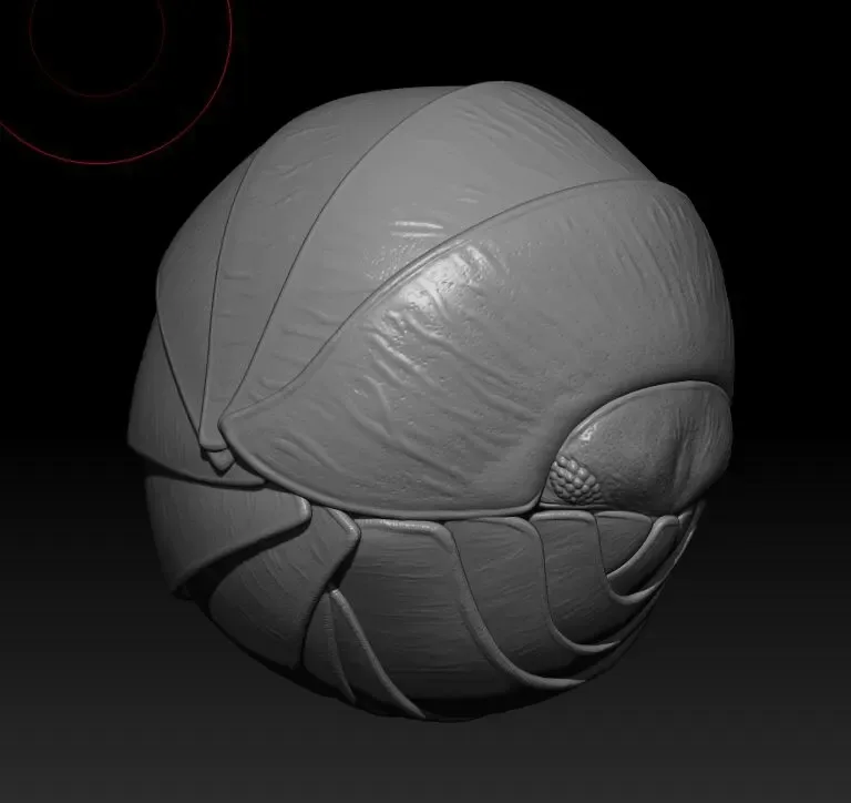 Roly Poly - Isopod Basemesh