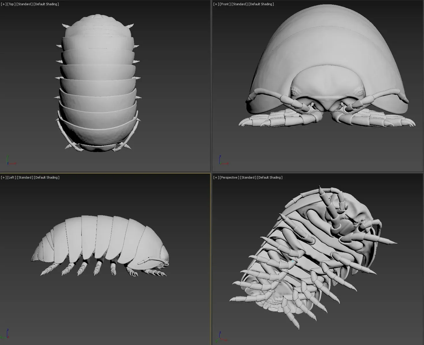 Roly Poly - Isopod Basemesh