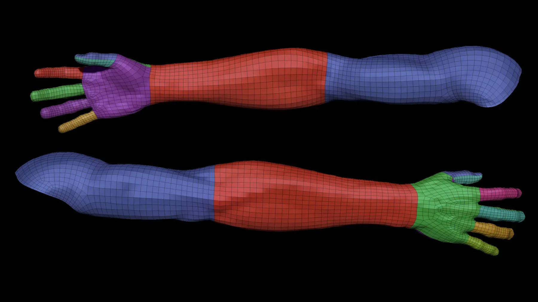 High Resolution Human Arm