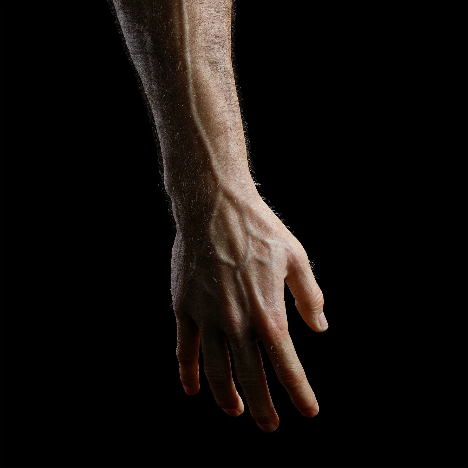 High Resolution Human Arm