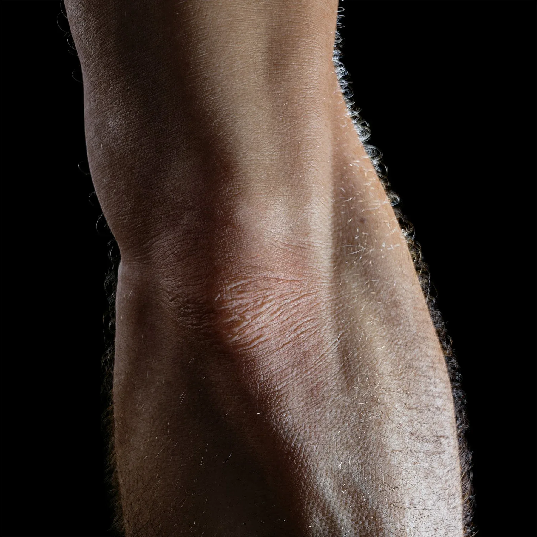 High Resolution Human Arm