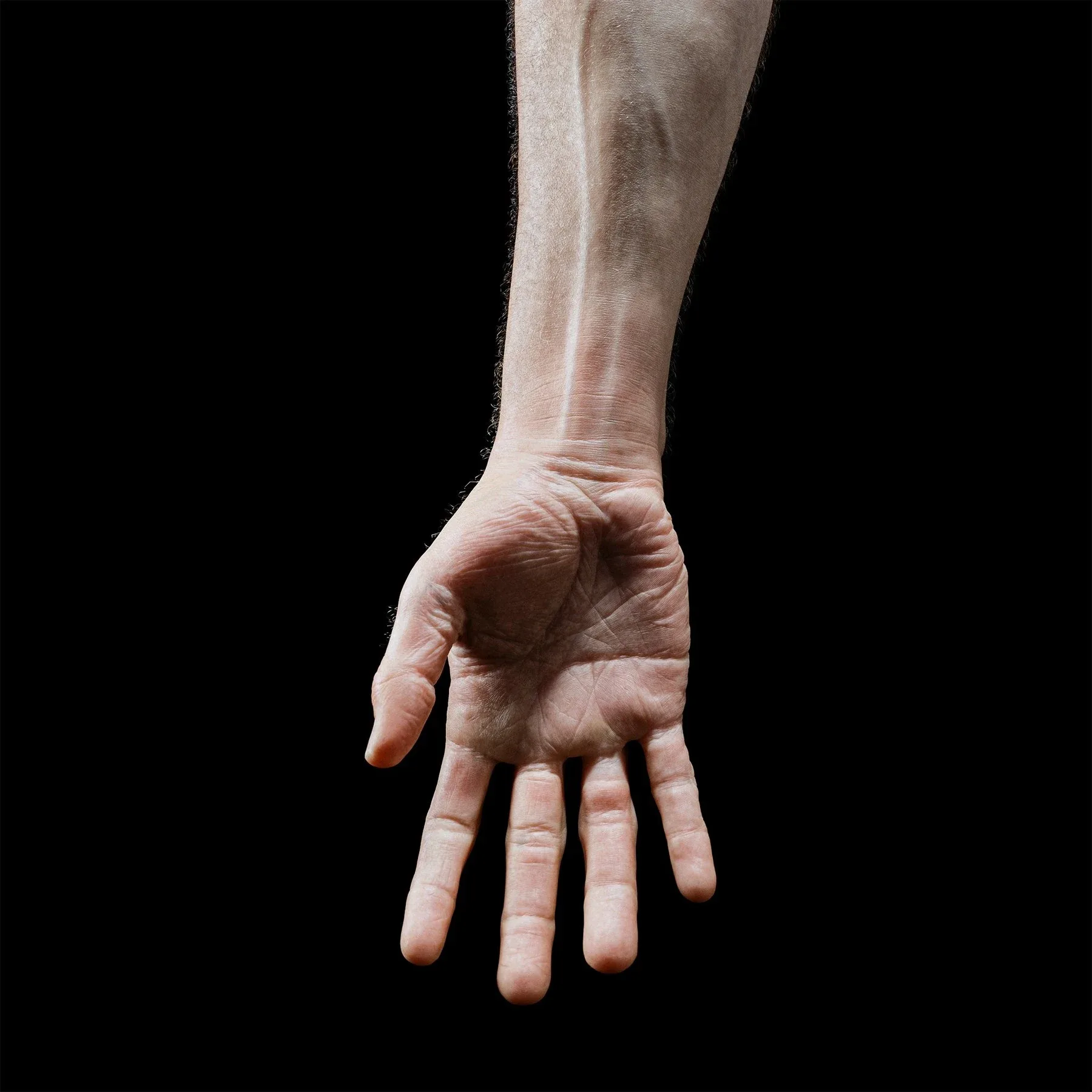 High Resolution Human Arm