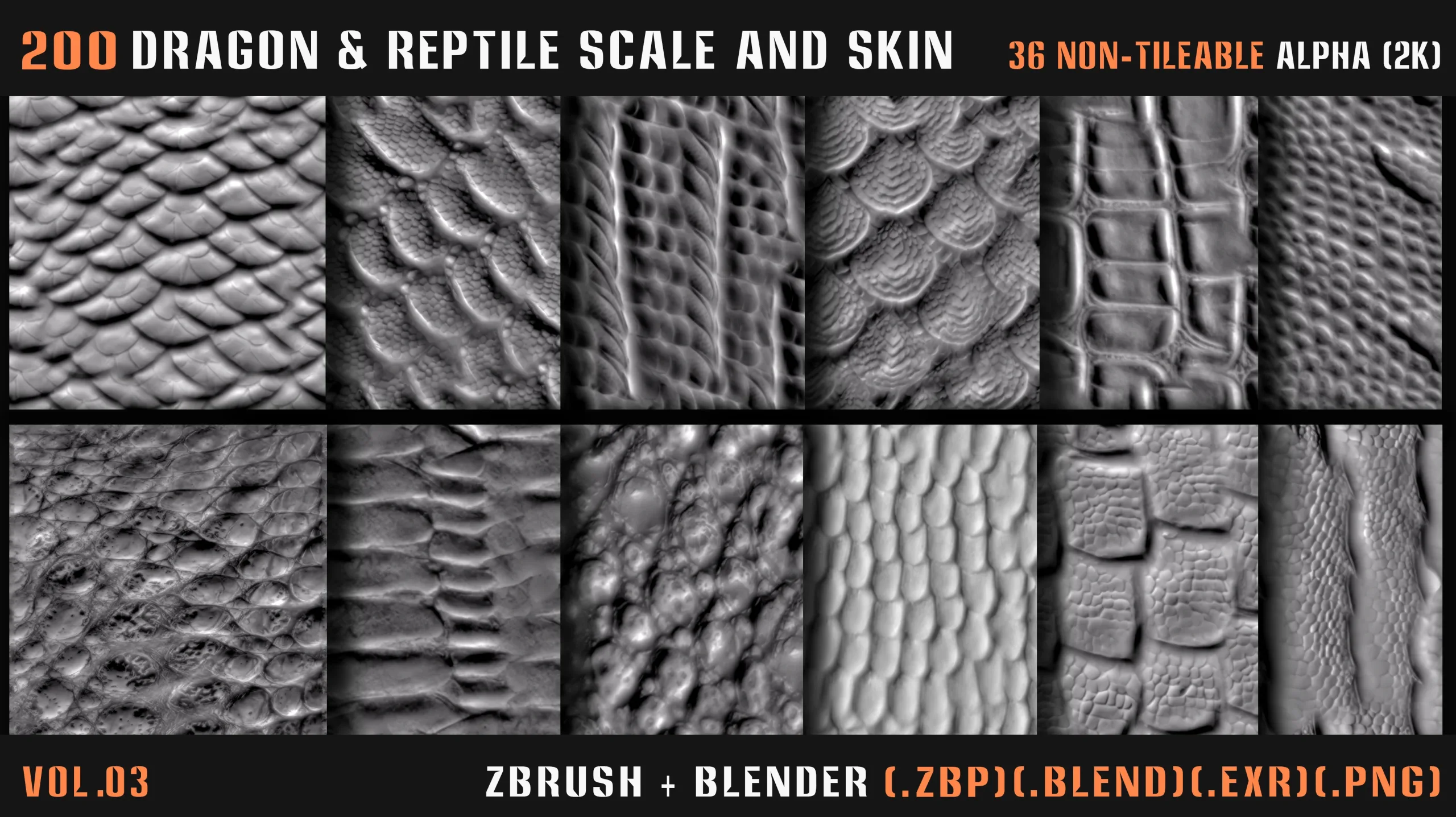 200 Dragon & Reptile Scale and Skin (VDM + Alpha) - Vol.03
