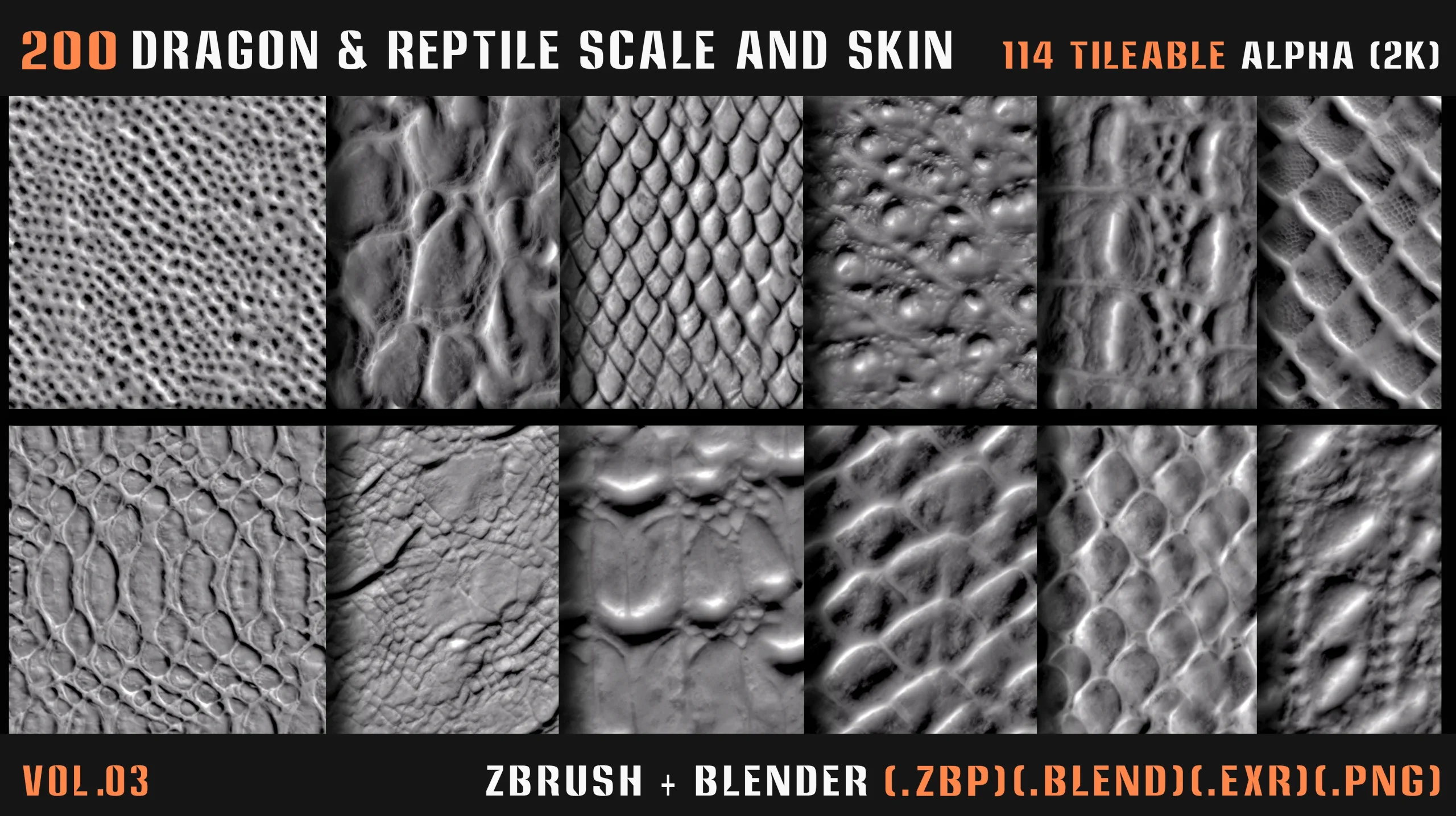 200 Dragon & Reptile Scale and Skin (VDM + Alpha) - Vol.03