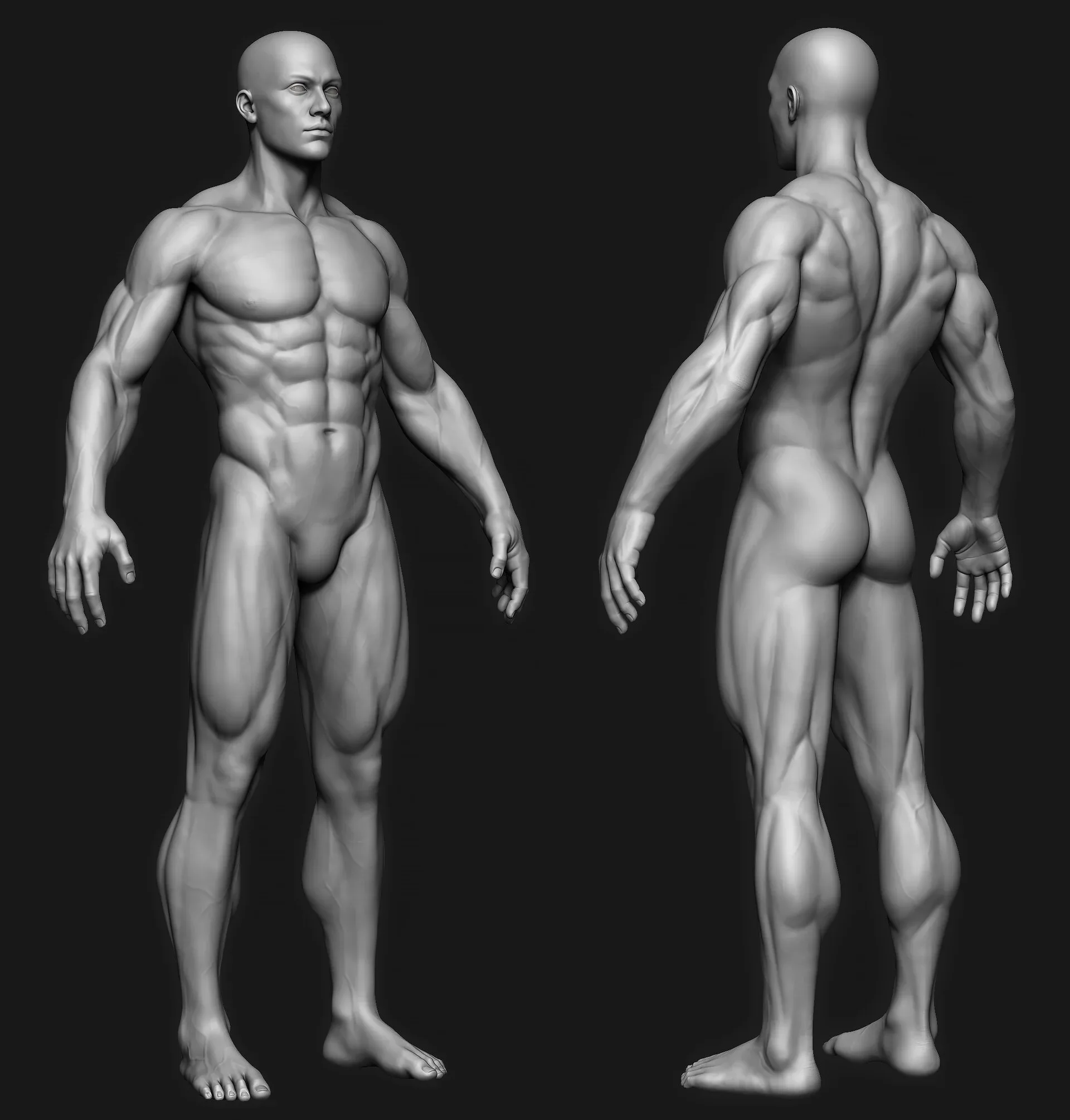 Anatomy ZTL Tool