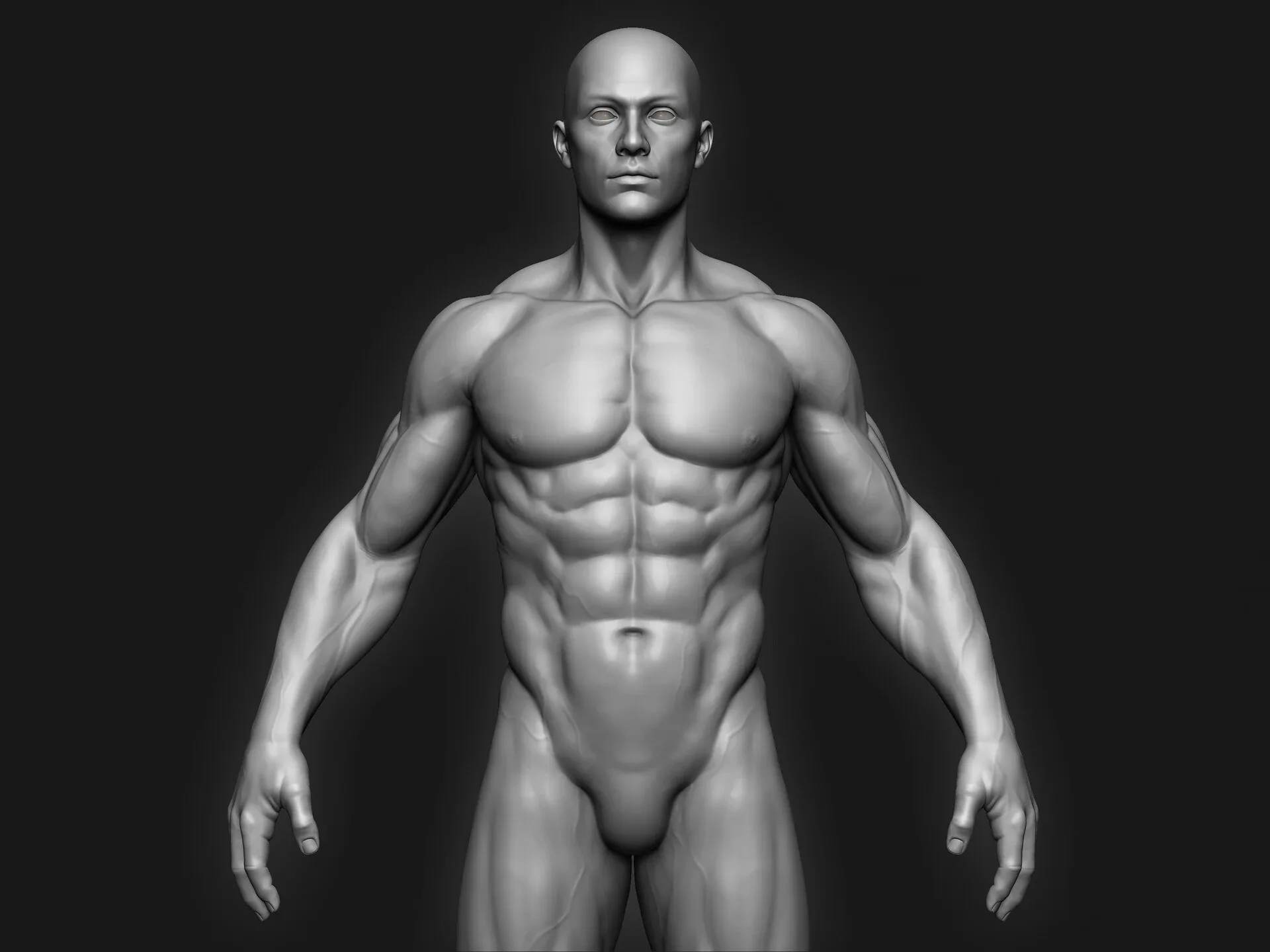 Anatomy ZTL Tool