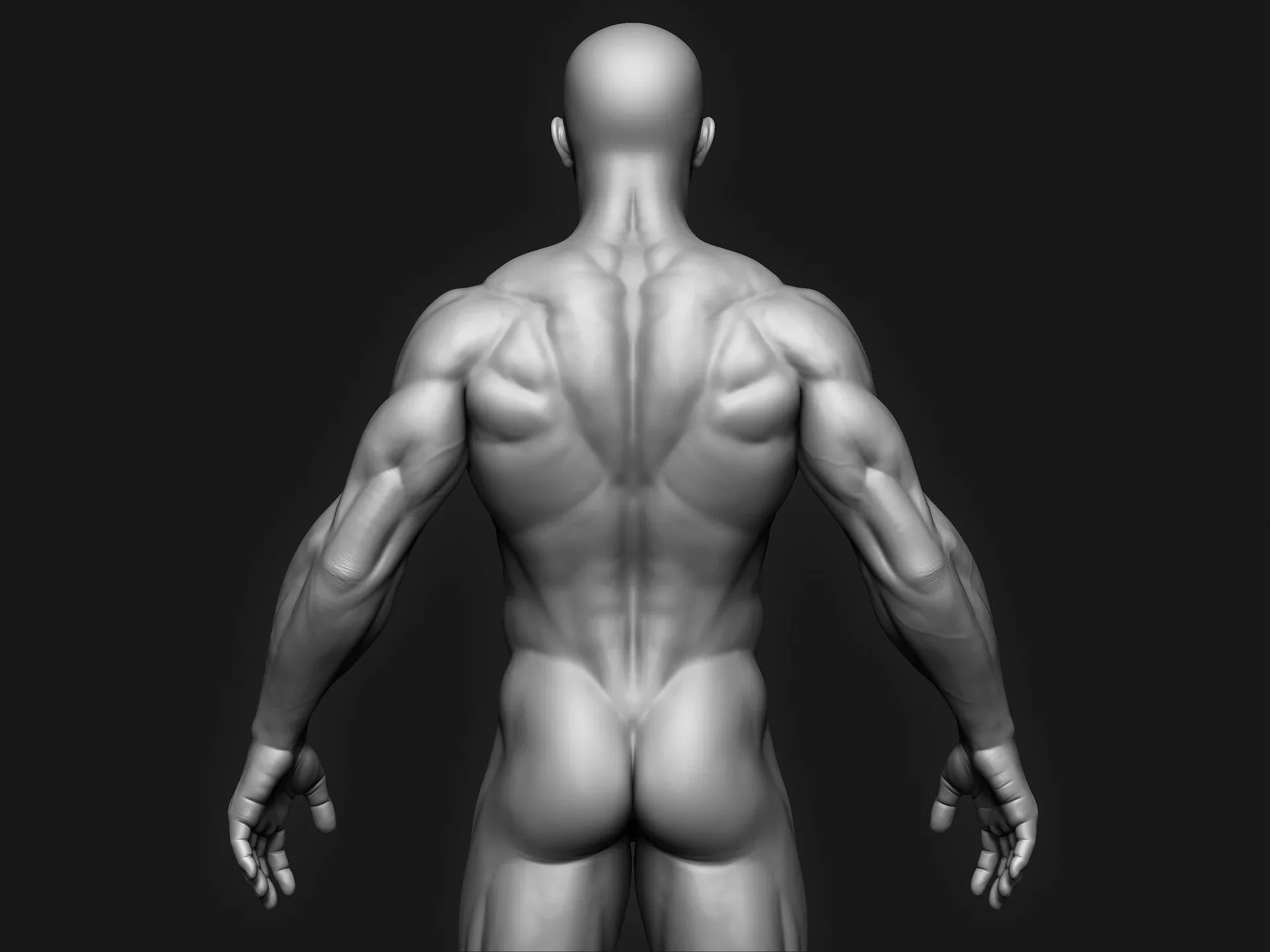 Anatomy ZTL Tool