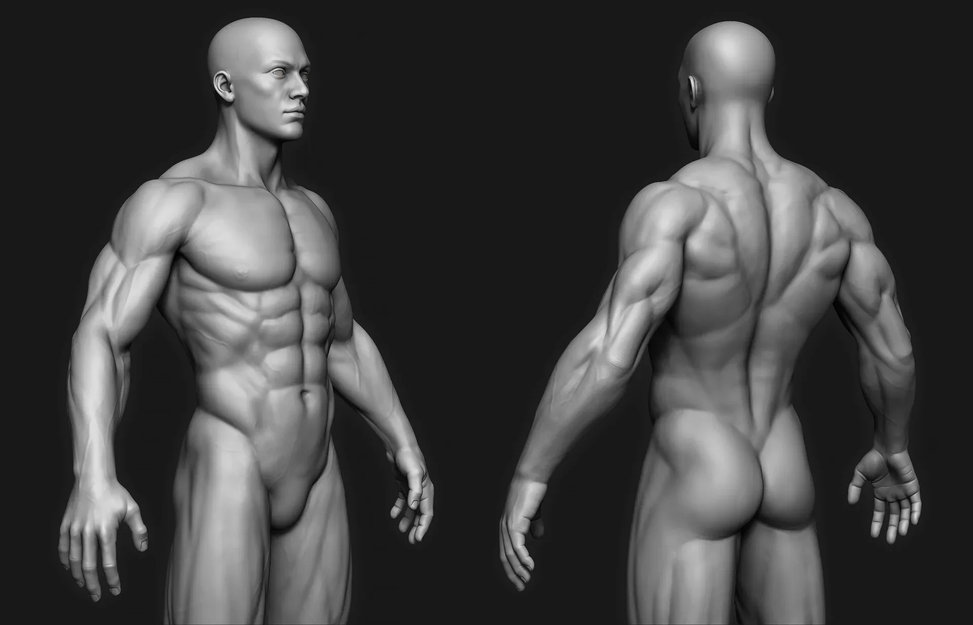 Anatomy ZTL Tool