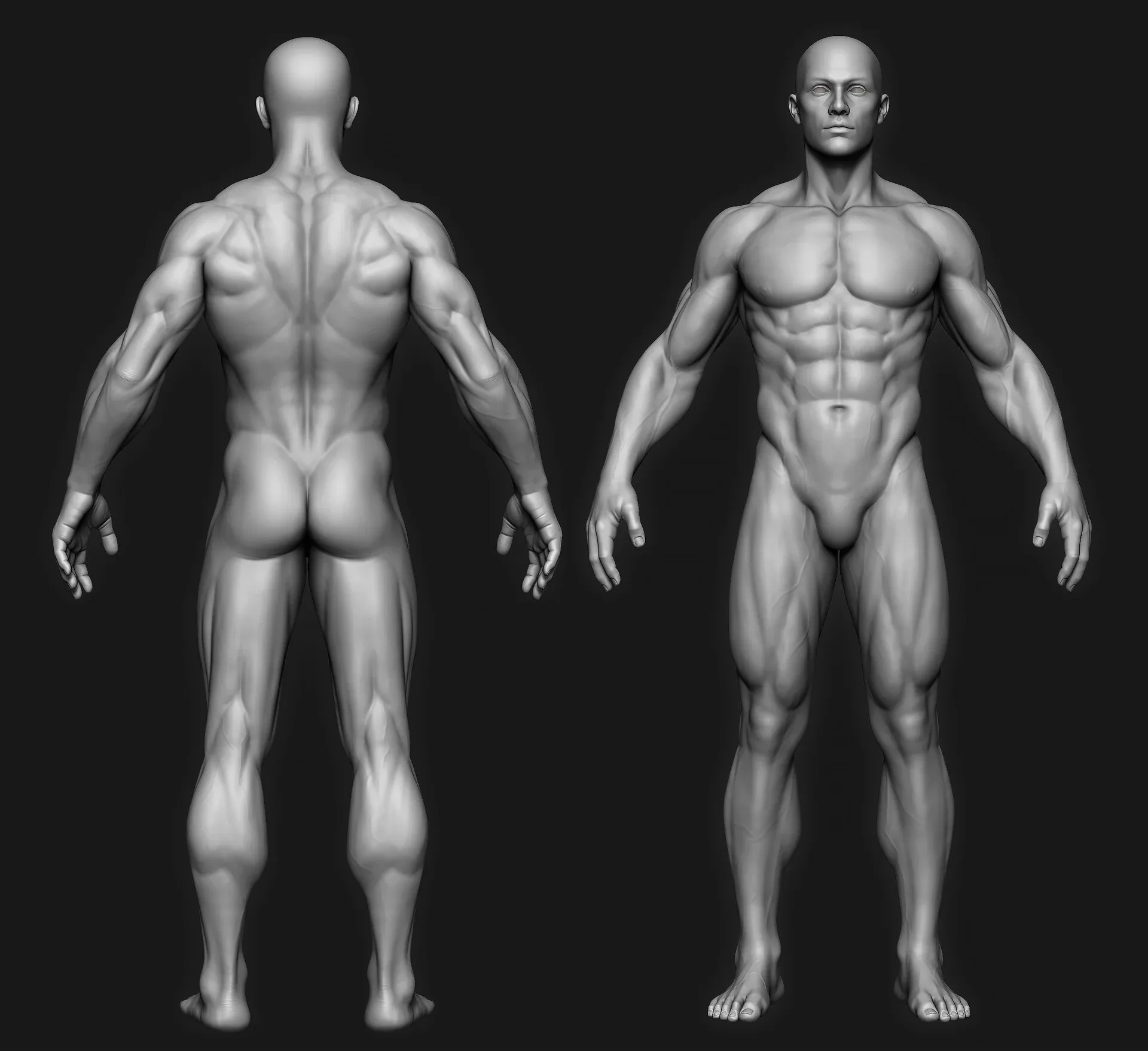 Anatomy ZTL Tool