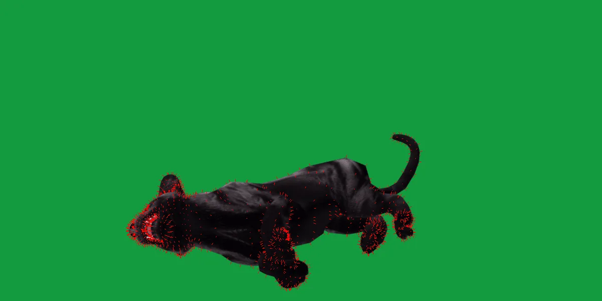 Baby Black Jaguar Cub