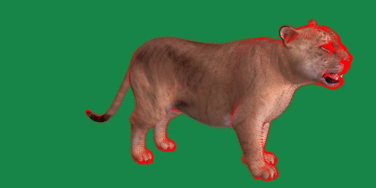 Liger Hybrid Feline